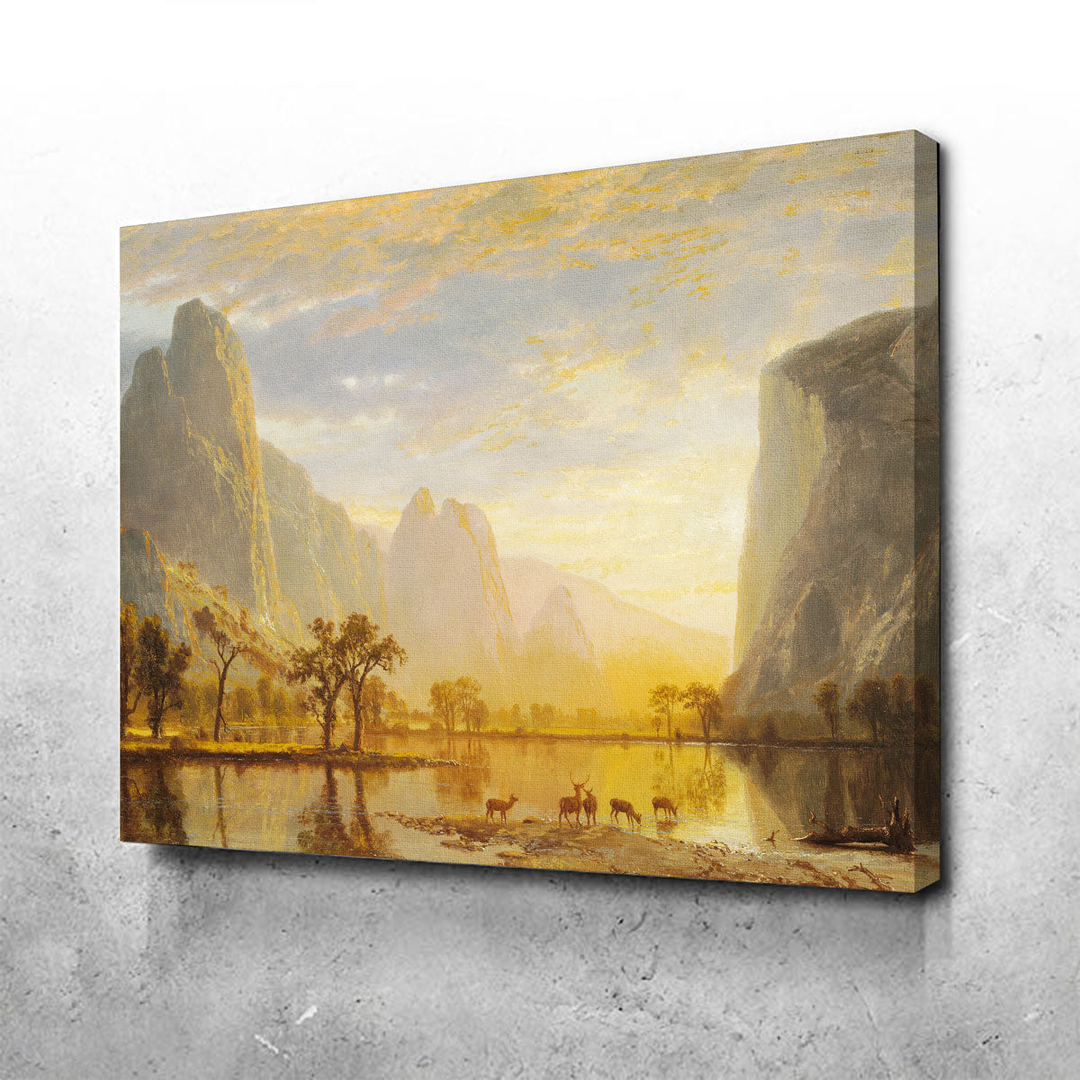 Valley of the Yosemite Wall Art