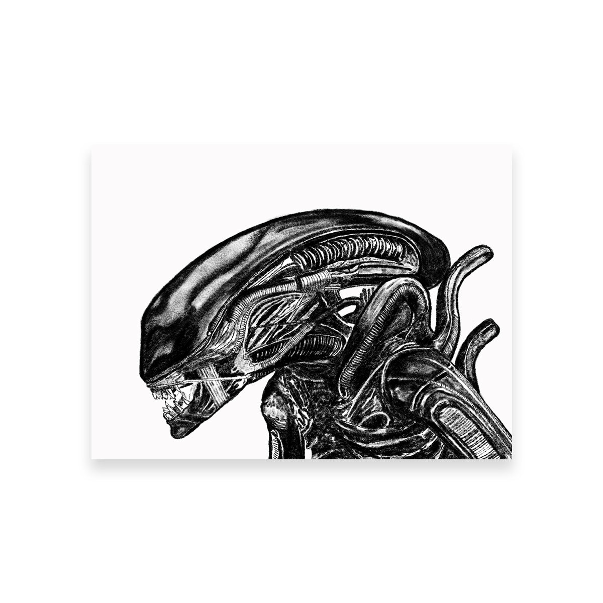 Alien Sketch Wall Art