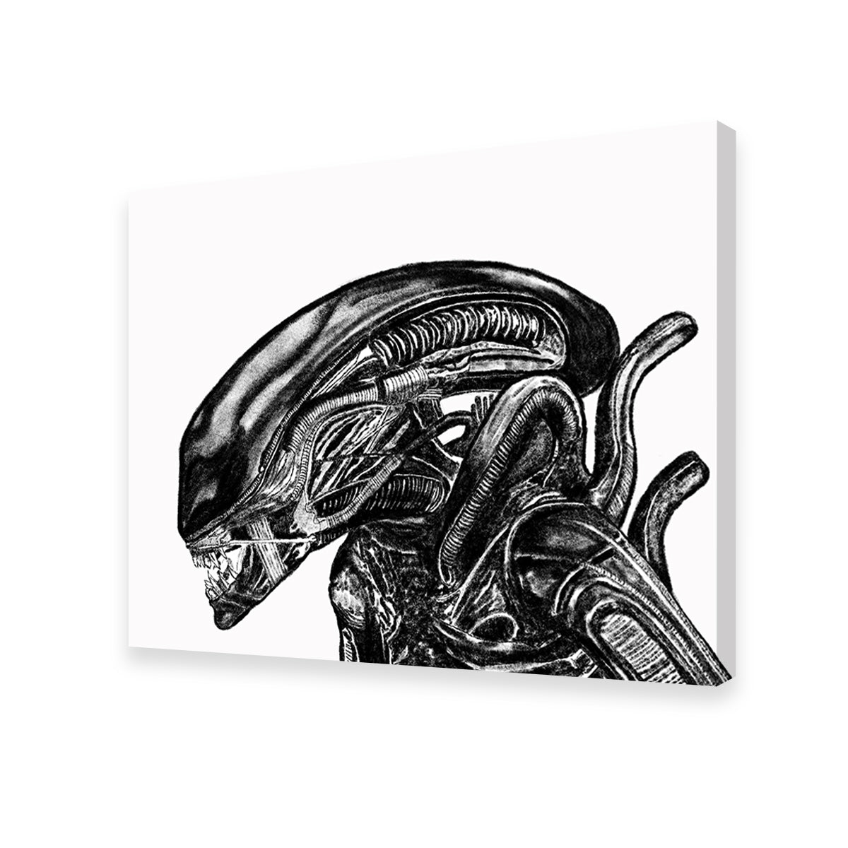 Alien Sketch Wall Art
