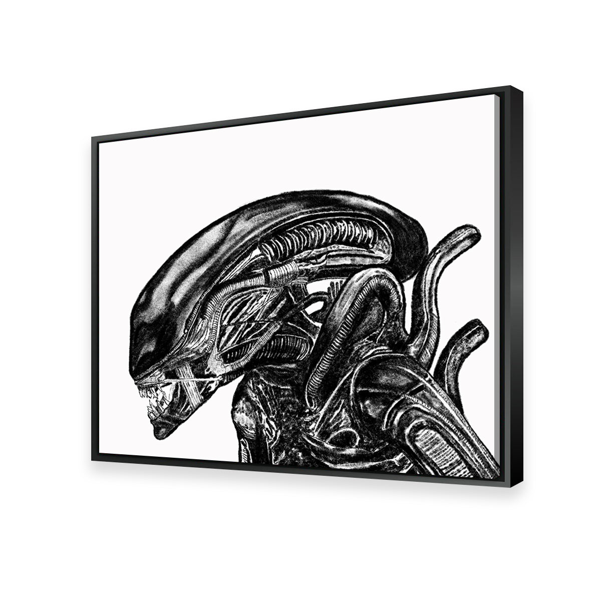 Alien Sketch Wall Art