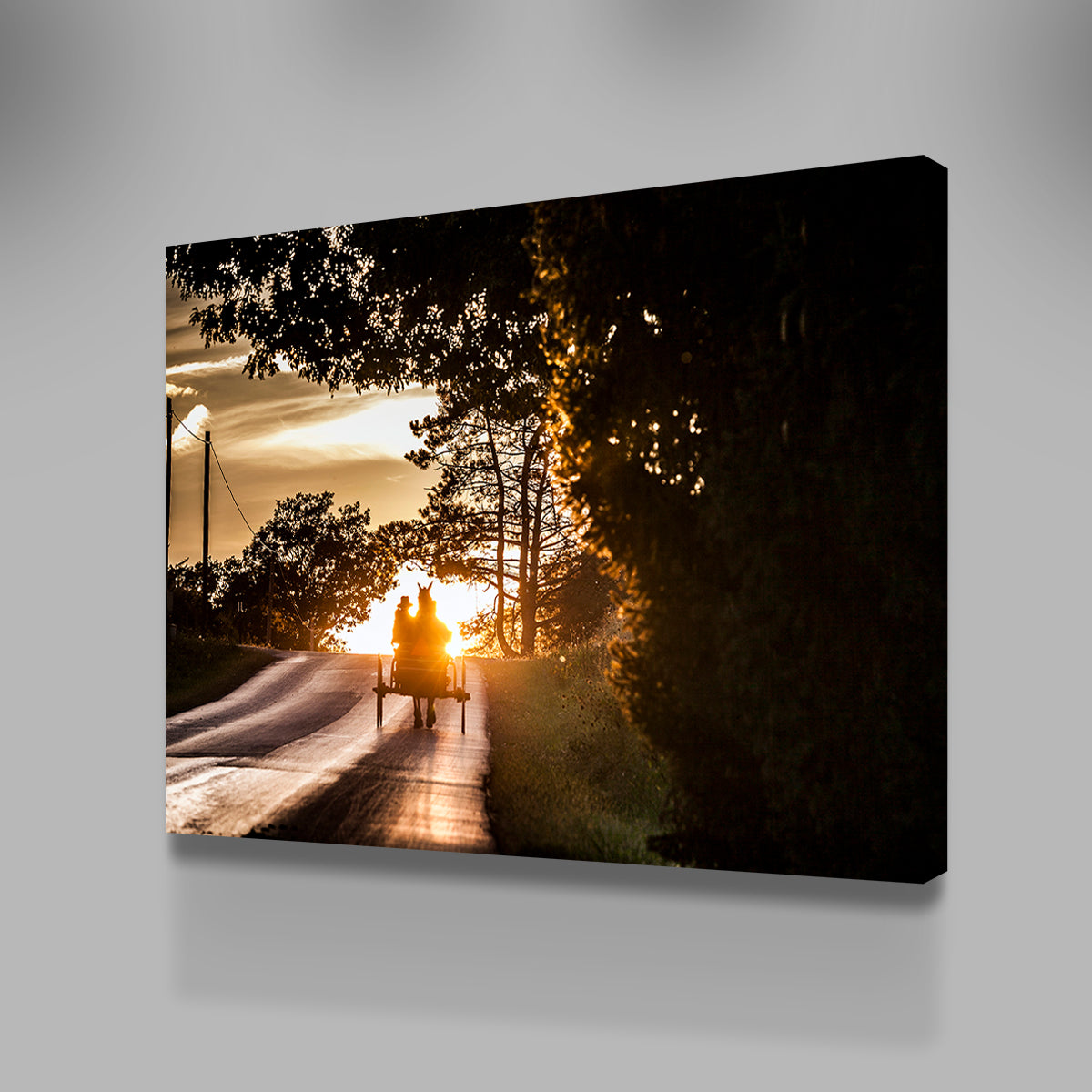 Amish land of Holmes County Wall Art