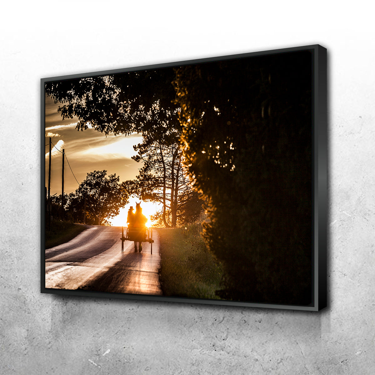 Amish land of Holmes County Wall Art