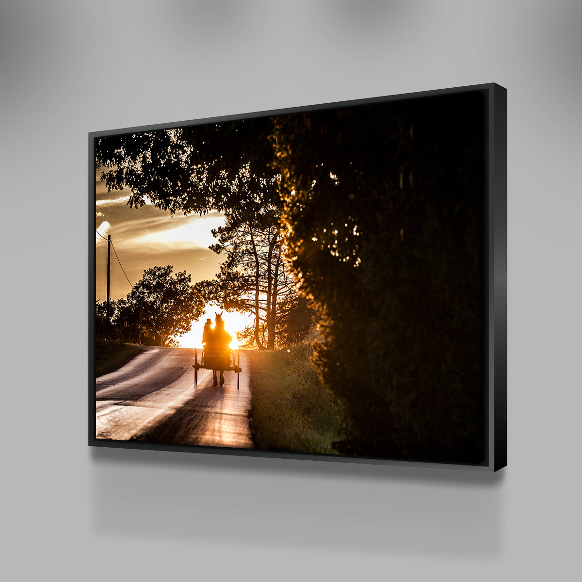 Amish land of Holmes County Wall Art
