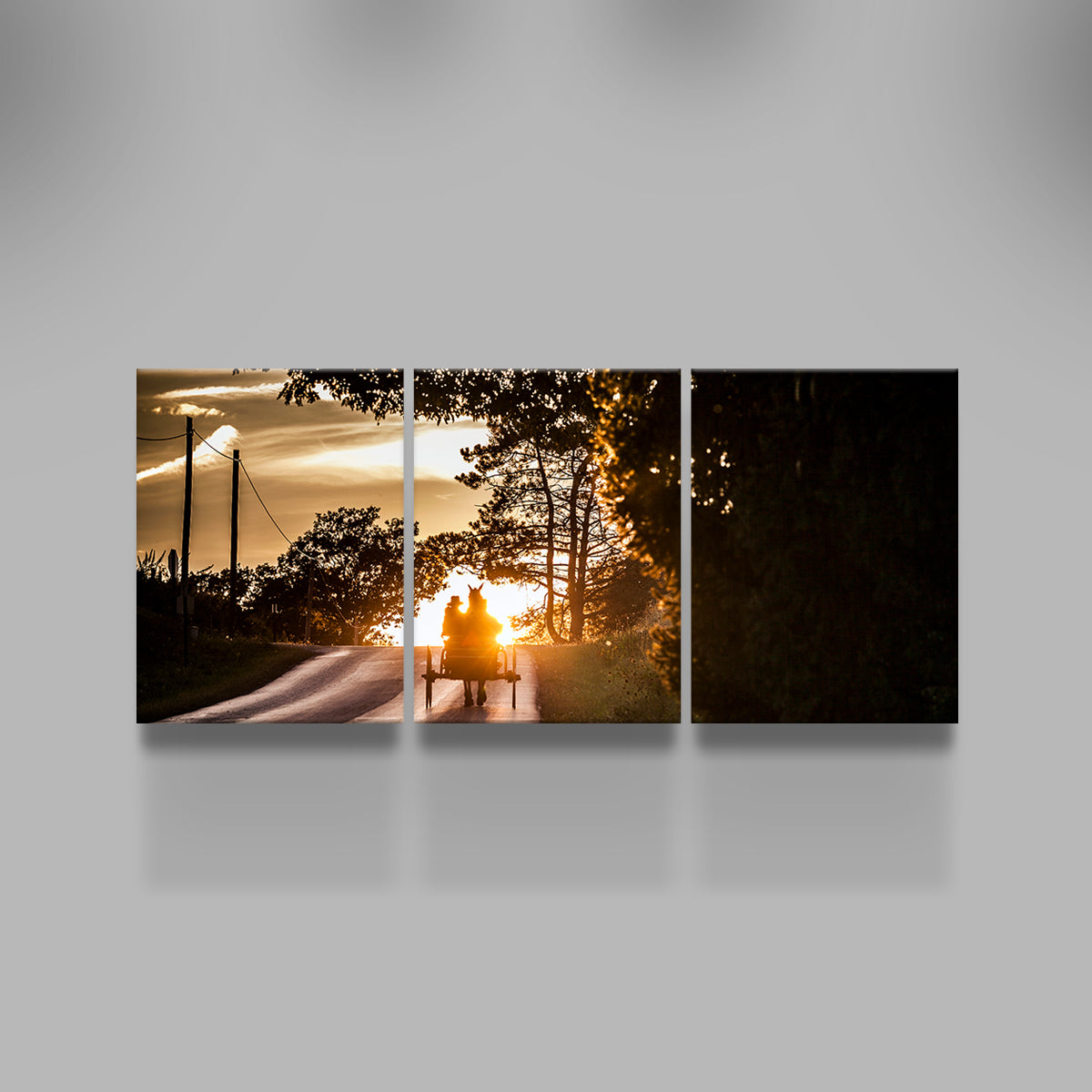 Amish land of Holmes County Wall Art