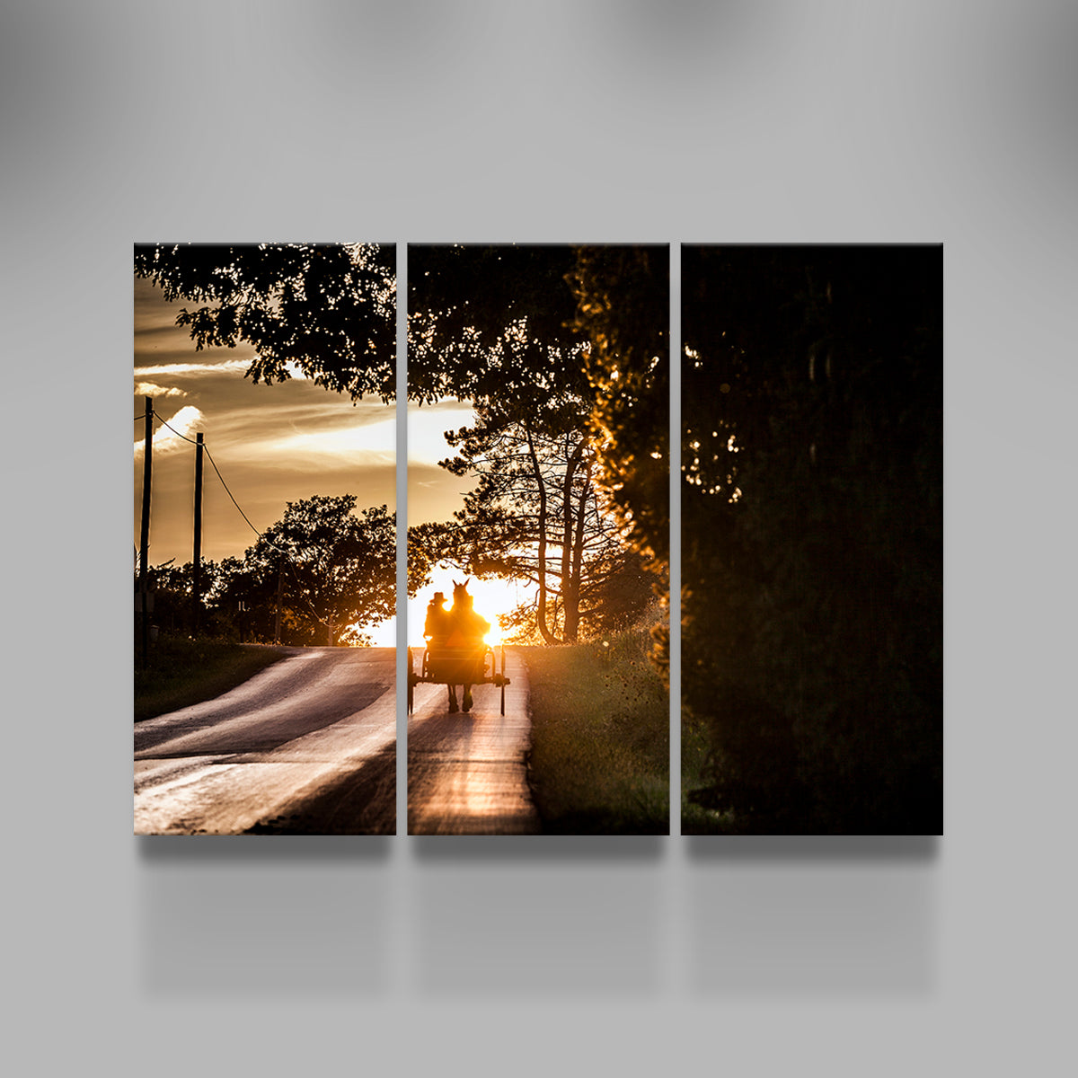 Amish land of Holmes County Wall Art
