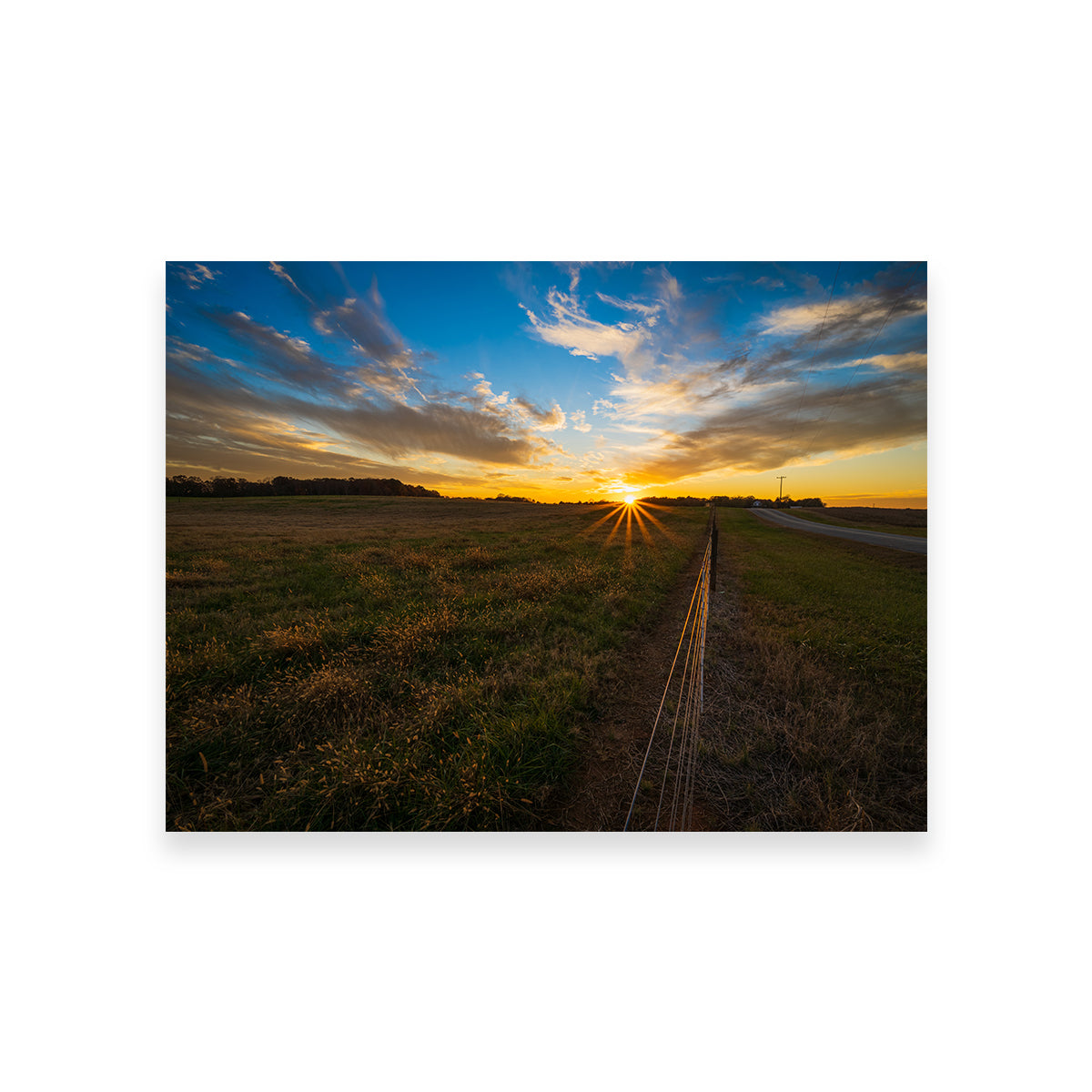 Anderson South Carolina Wall Art