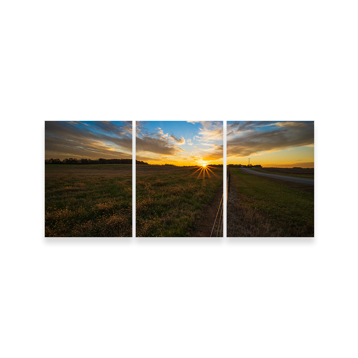 Anderson South Carolina Wall Art
