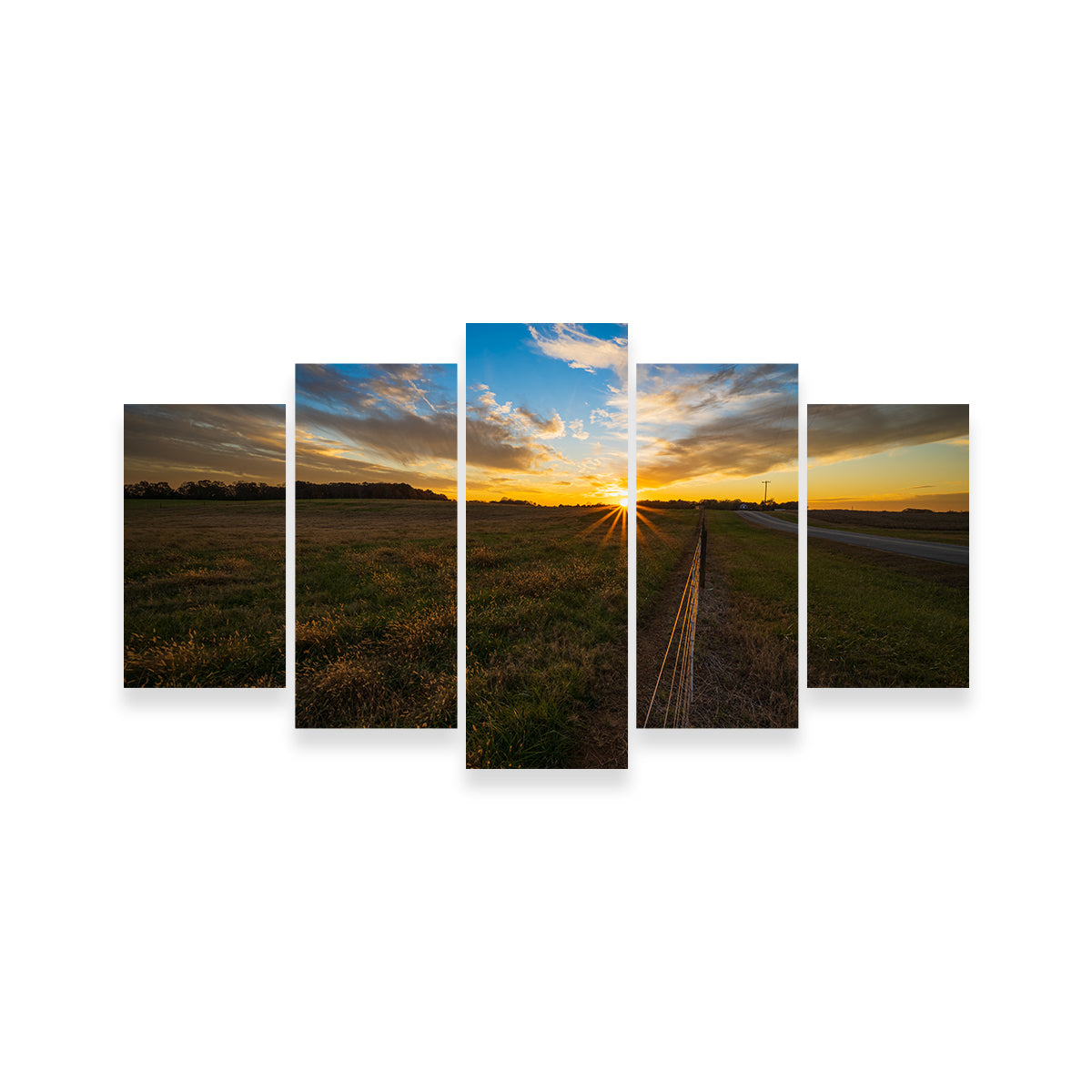 Anderson South Carolina Wall Art