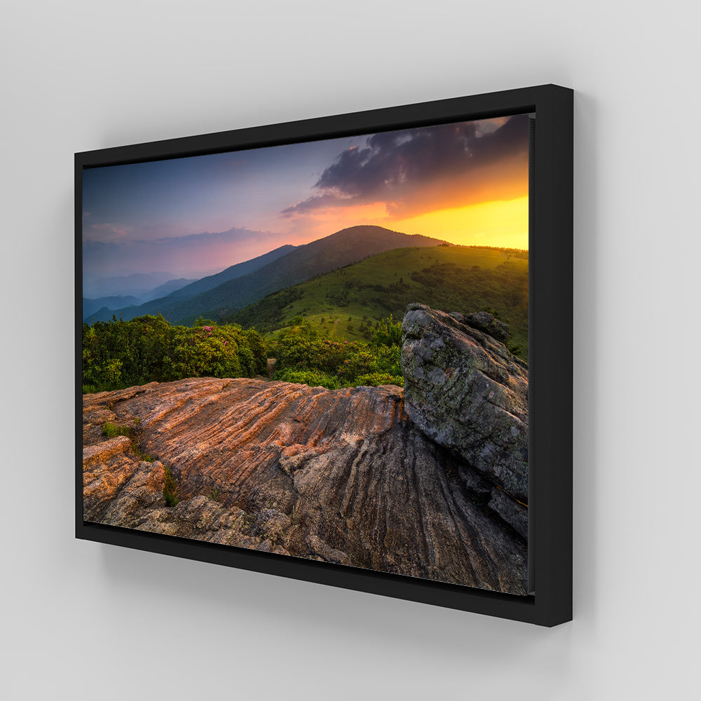 Appalachian Trail Roan Mountain state Park Wall Art