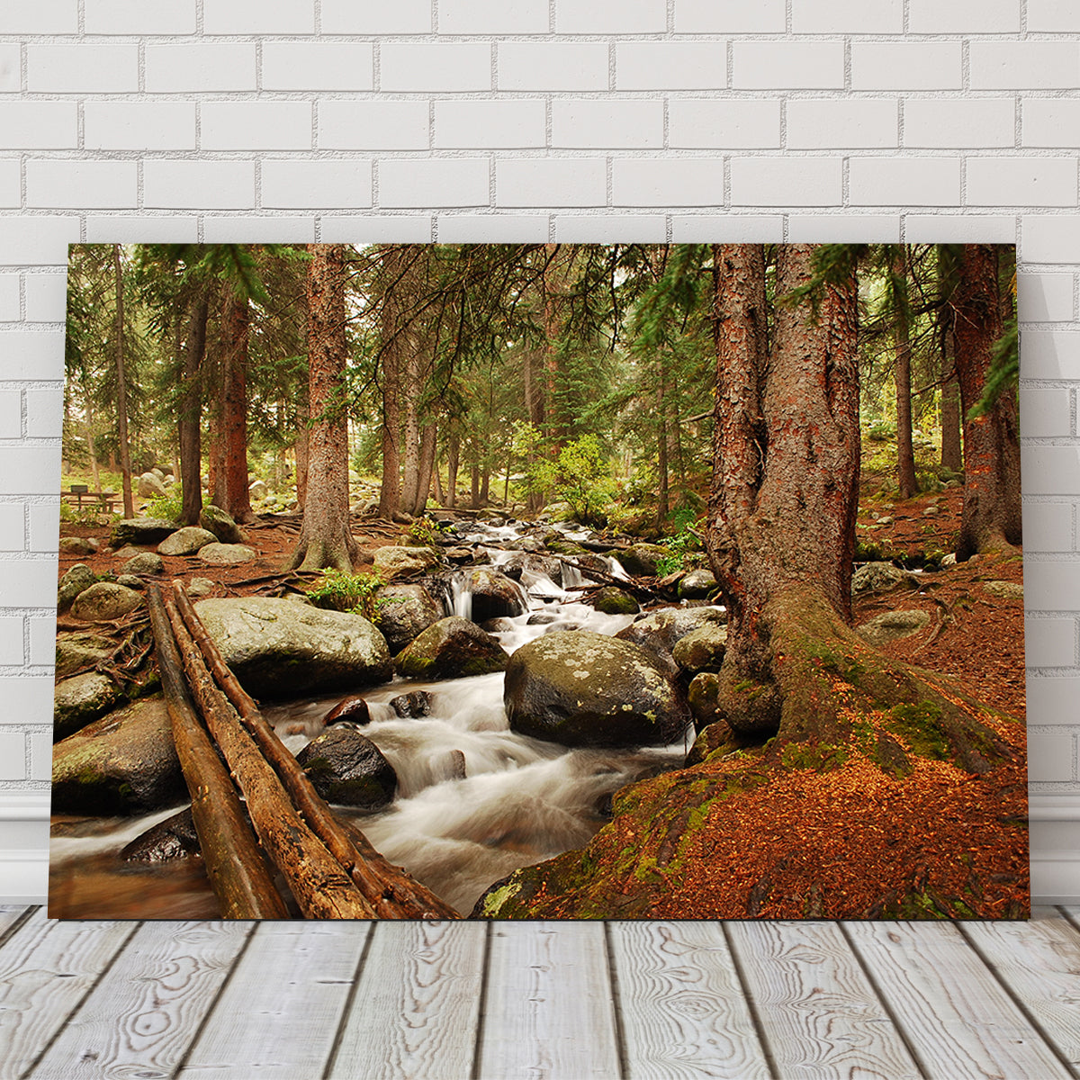 Arapaho National Forest Mountain Stream Wall Art