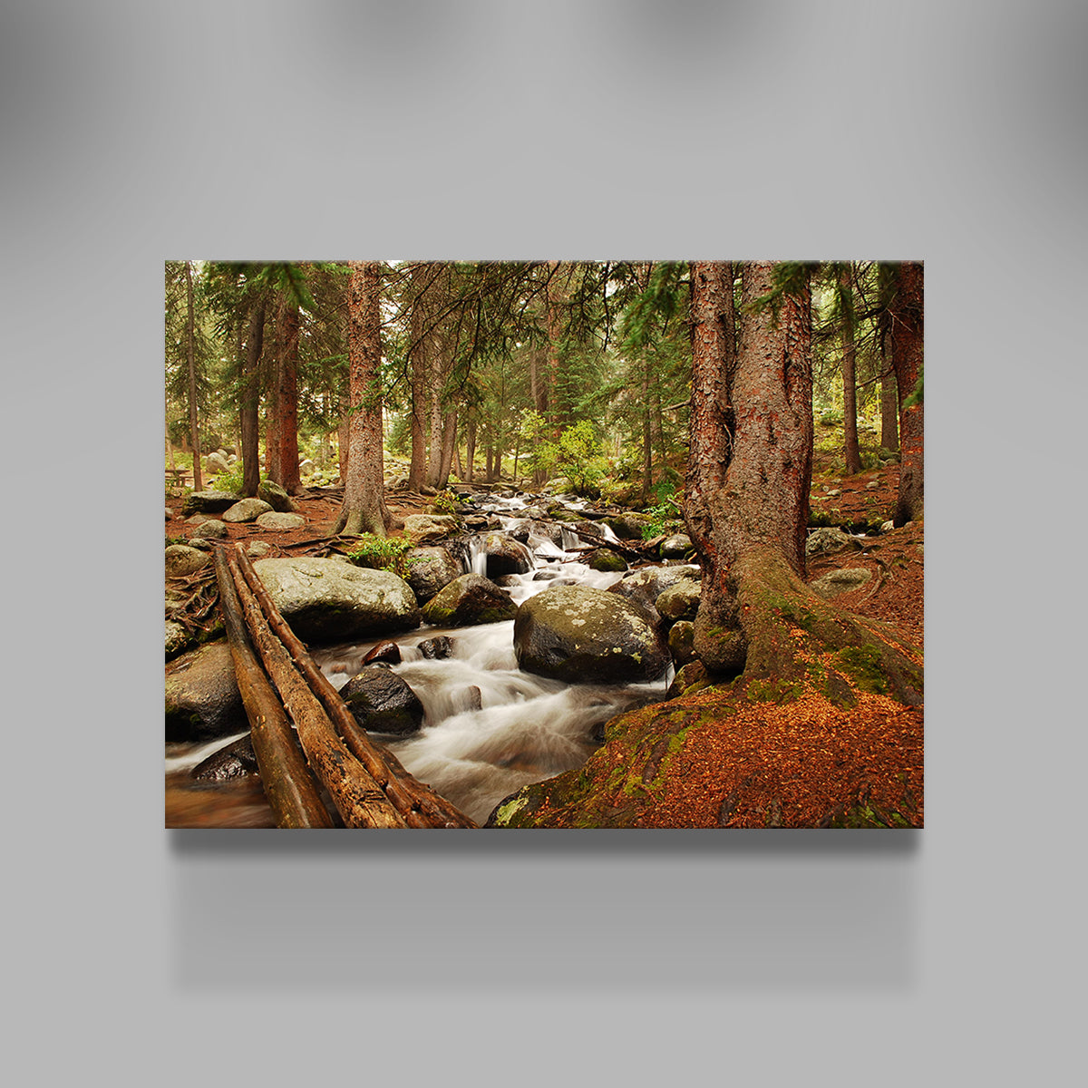 Arapaho National Forest Mountain Stream Wall Art