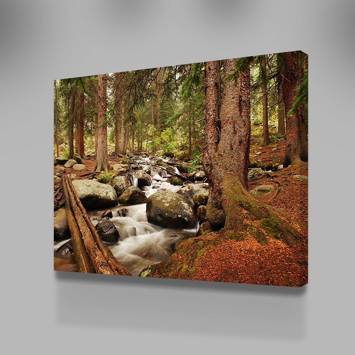 Arapaho National Forest Mountain Stream Wall Art