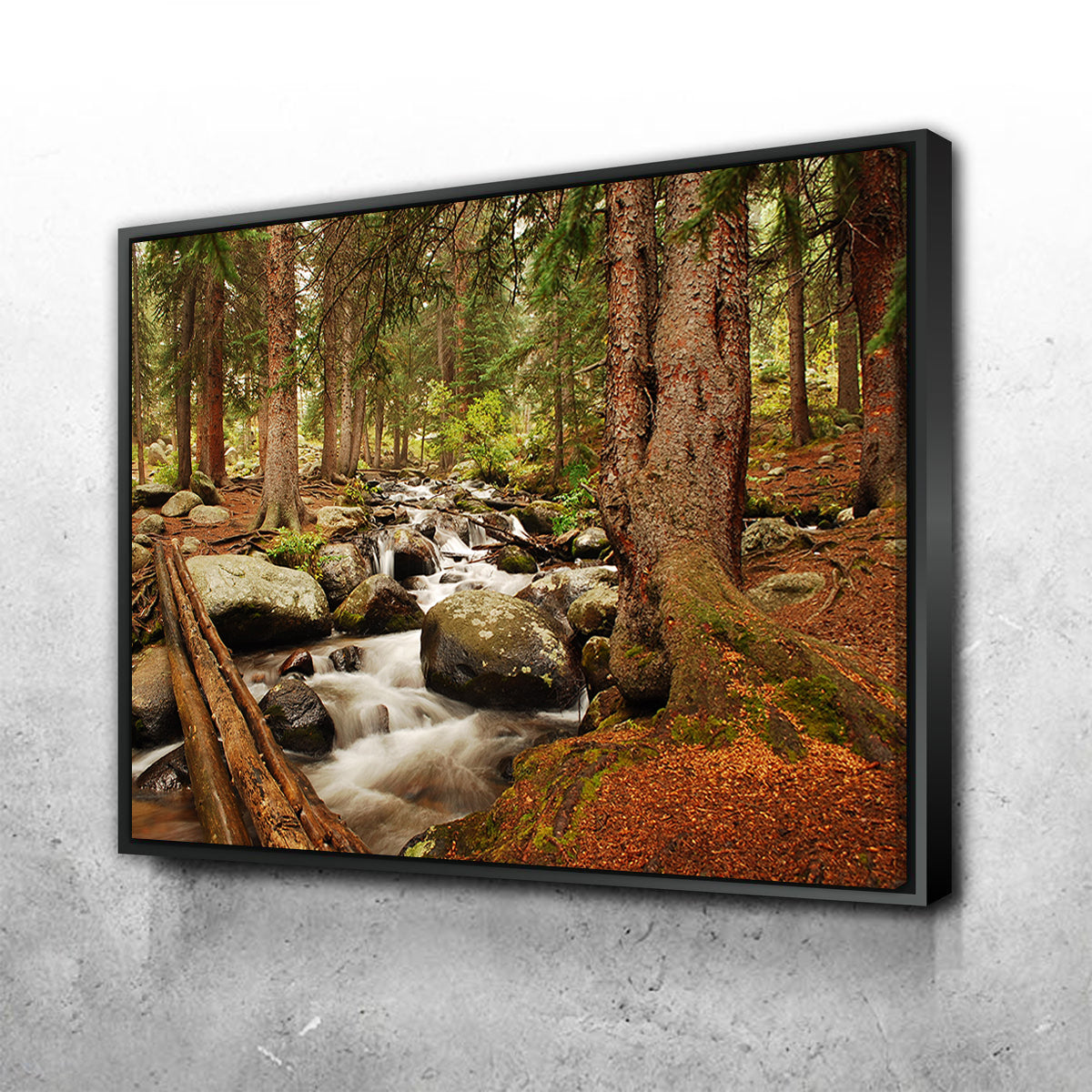 Arapaho National Forest Mountain Stream Wall Art