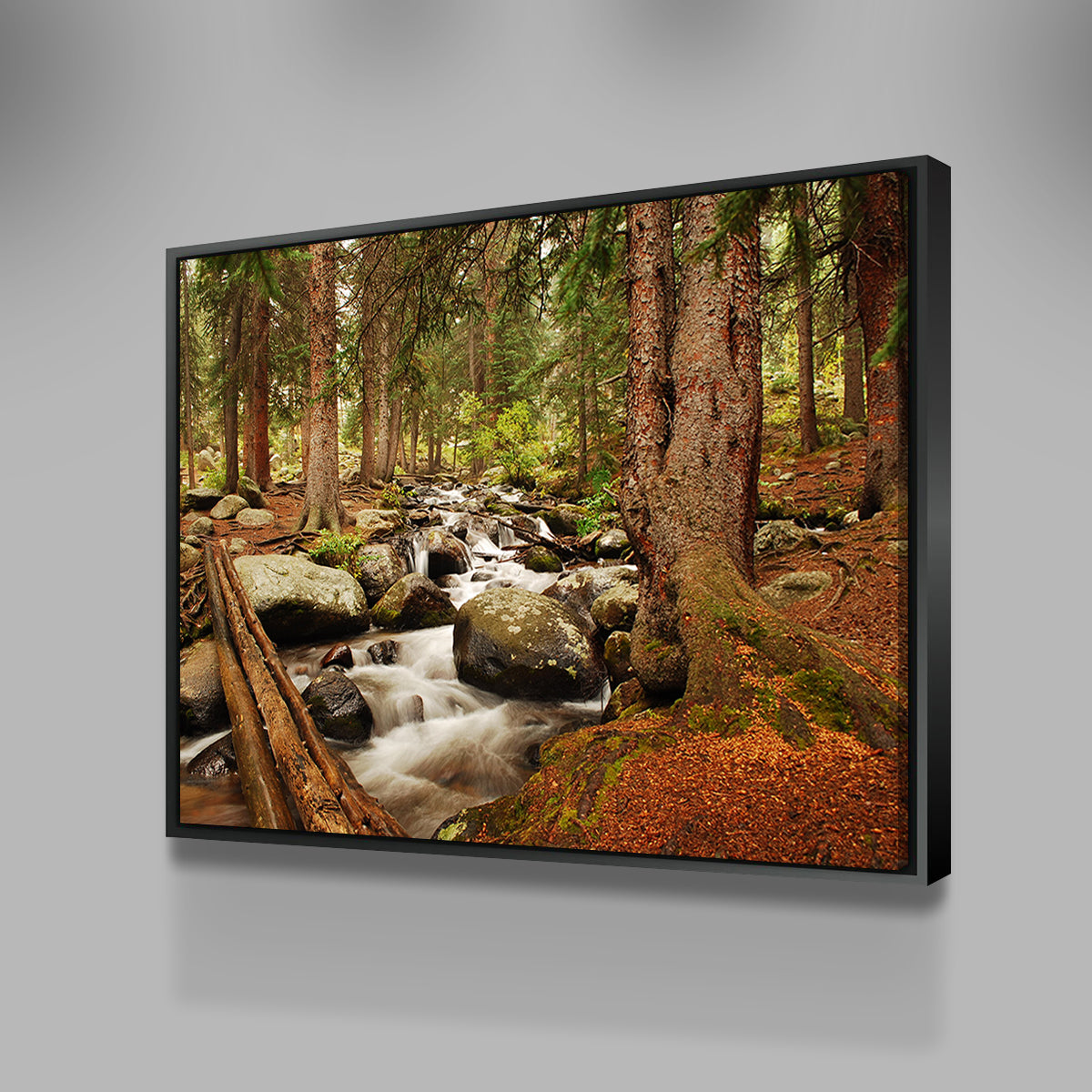Arapaho National Forest Mountain Stream Wall Art