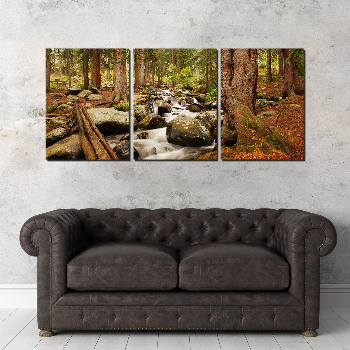 Arapaho National Forest Mountain Stream Wall Art