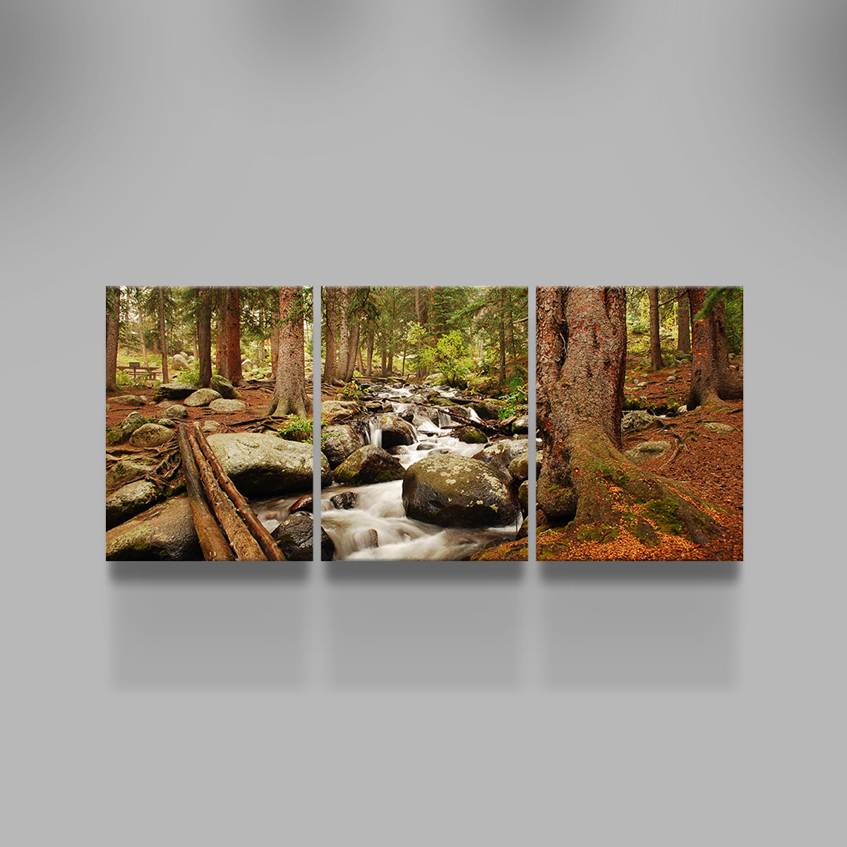 Arapaho National Forest Mountain Stream Wall Art