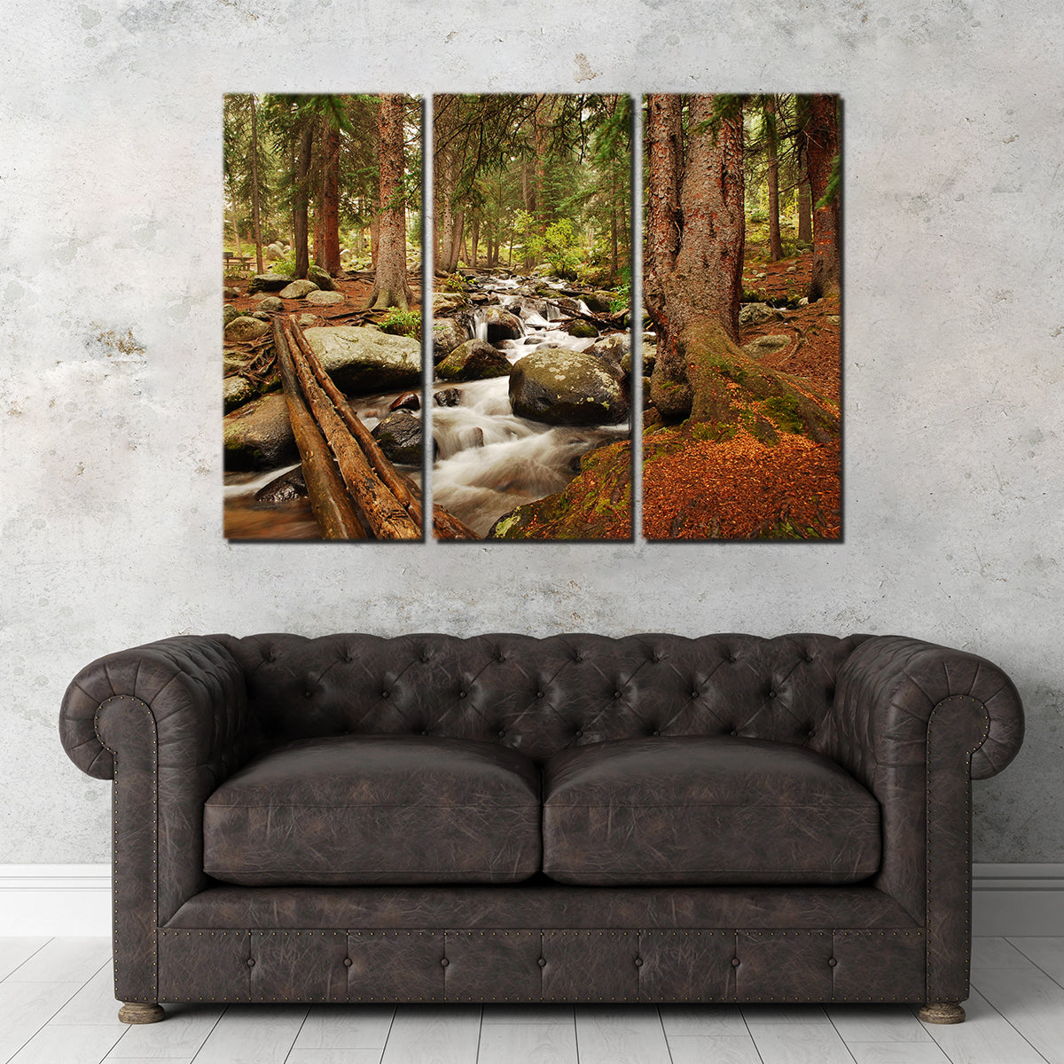 Arapaho National Forest Mountain Stream Wall Art