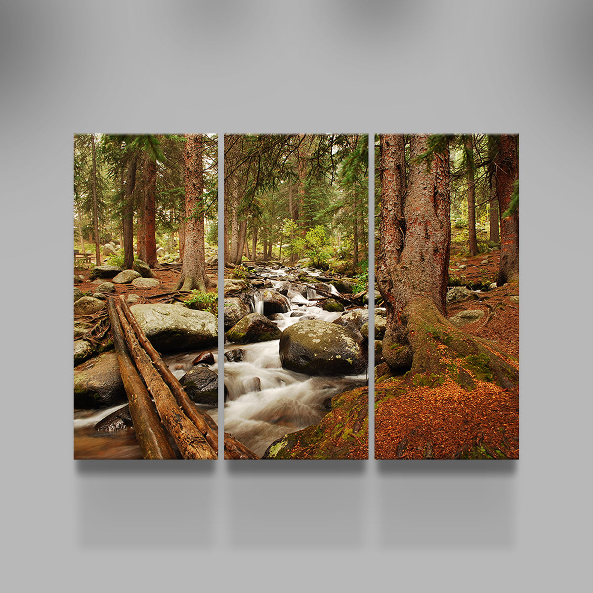 Arapaho National Forest Mountain Stream Wall Art