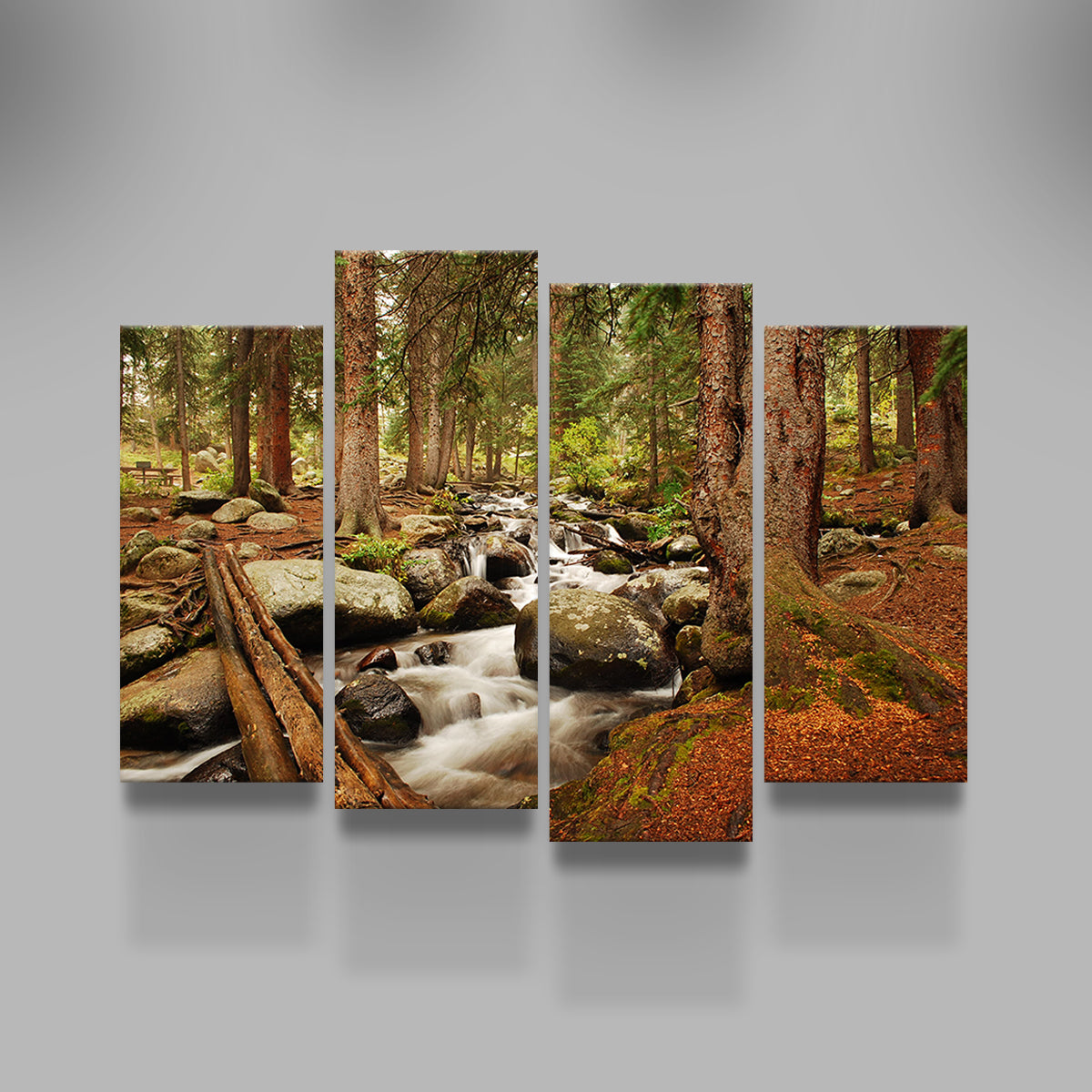 Arapaho National Forest Mountain Stream Wall Art