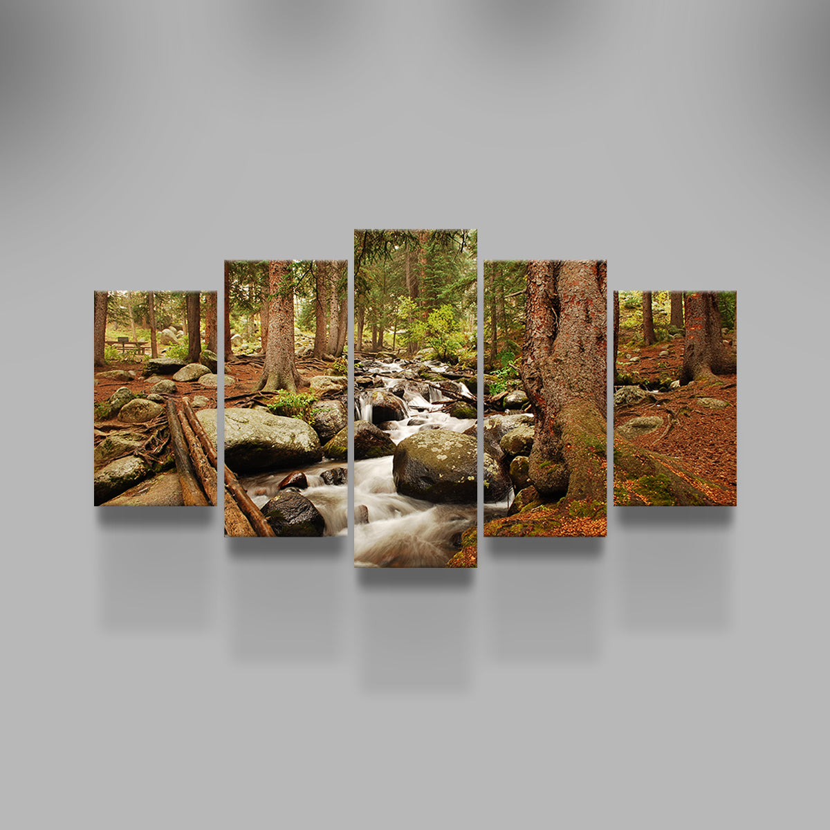 Arapaho National Forest Mountain Stream Wall Art