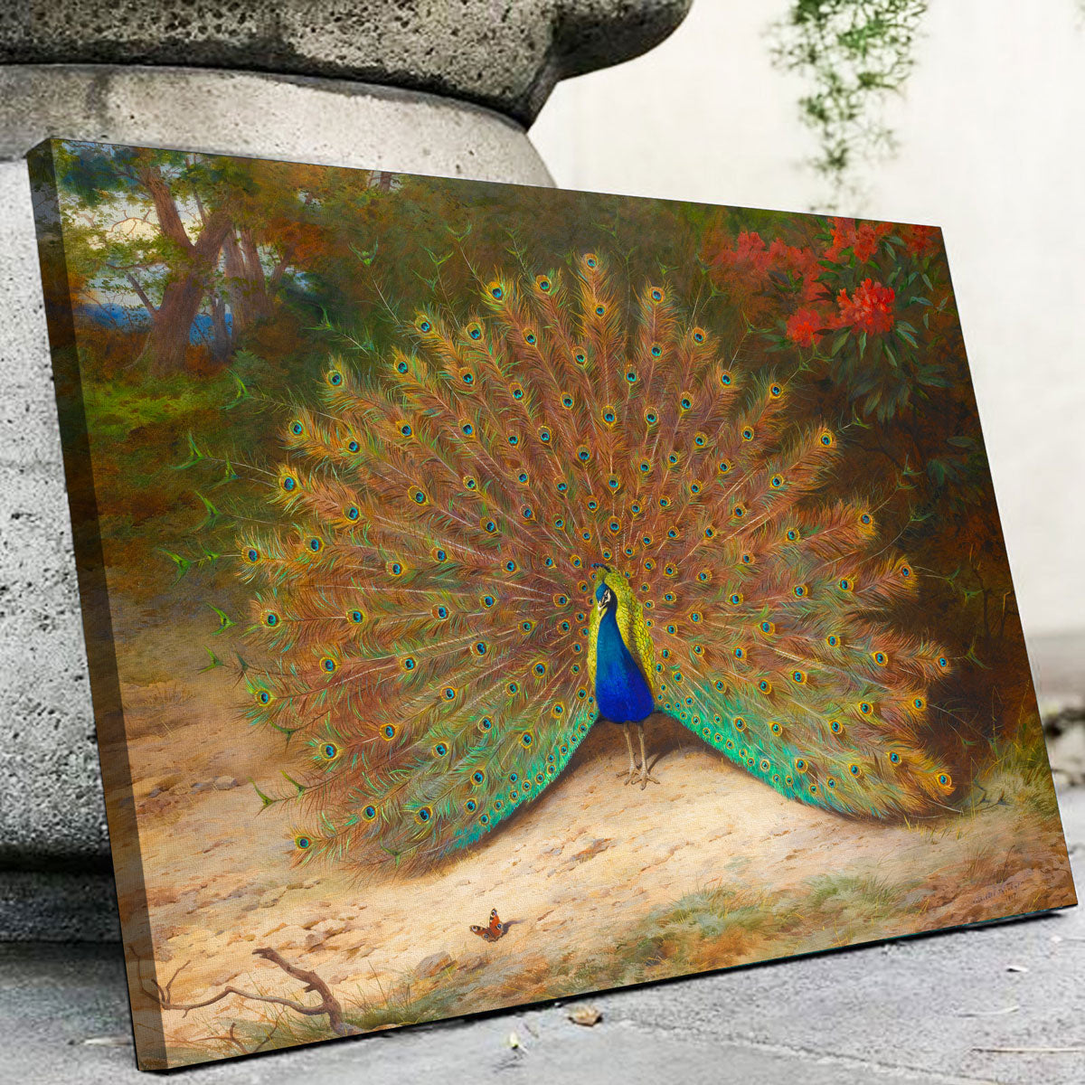 Peacock and Peacock Butterly Wall Art