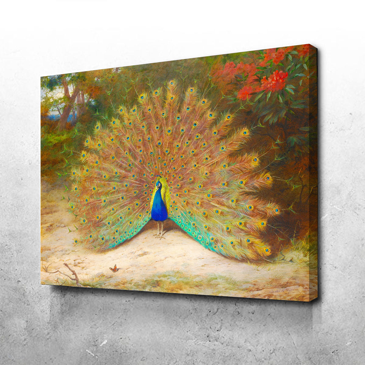 Peacock and Peacock Butterly Wall Art
