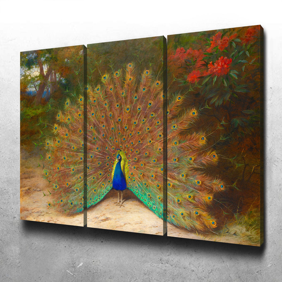 Peacock and Peacock Butterly Wall Art