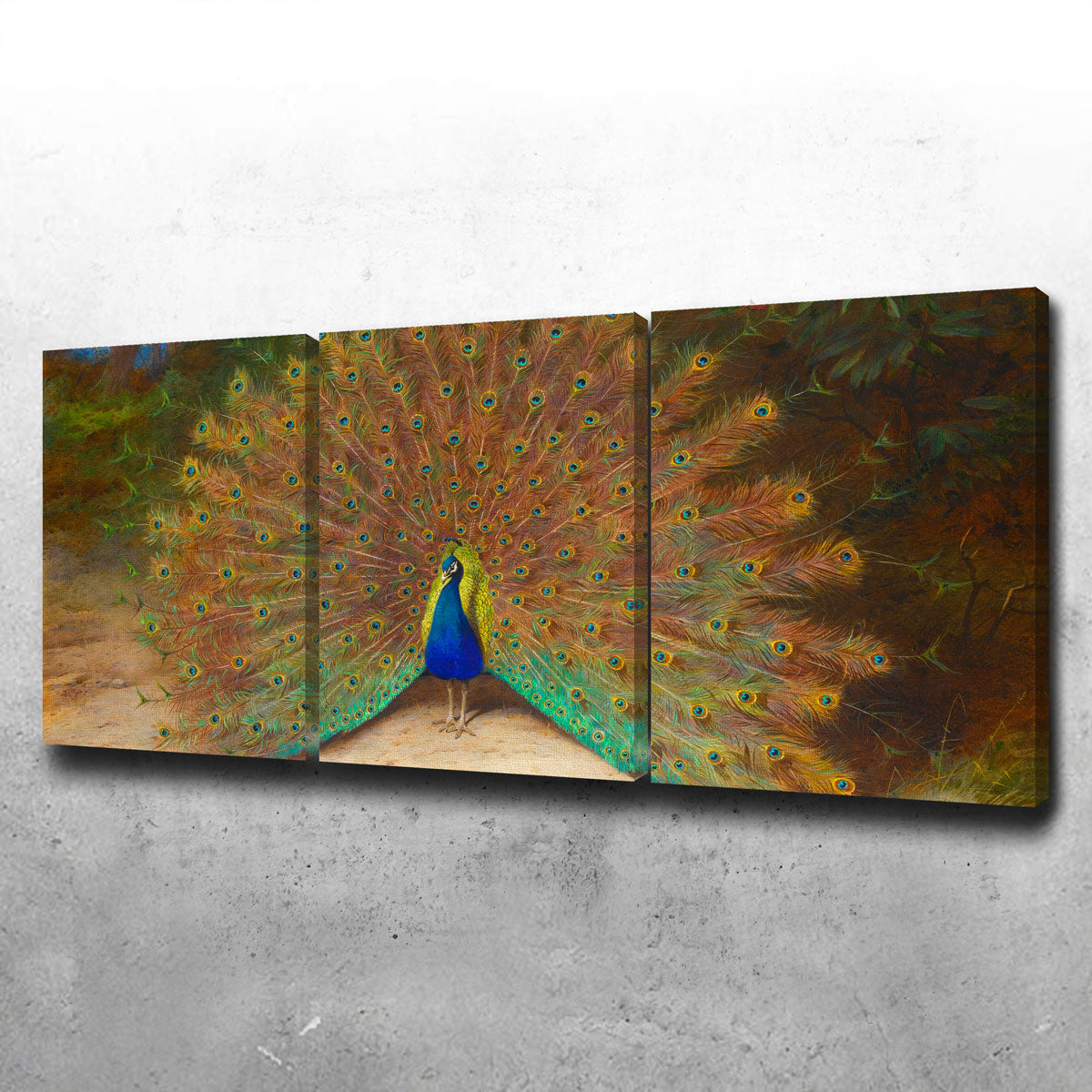 Peacock and Peacock Butterly Wall Art