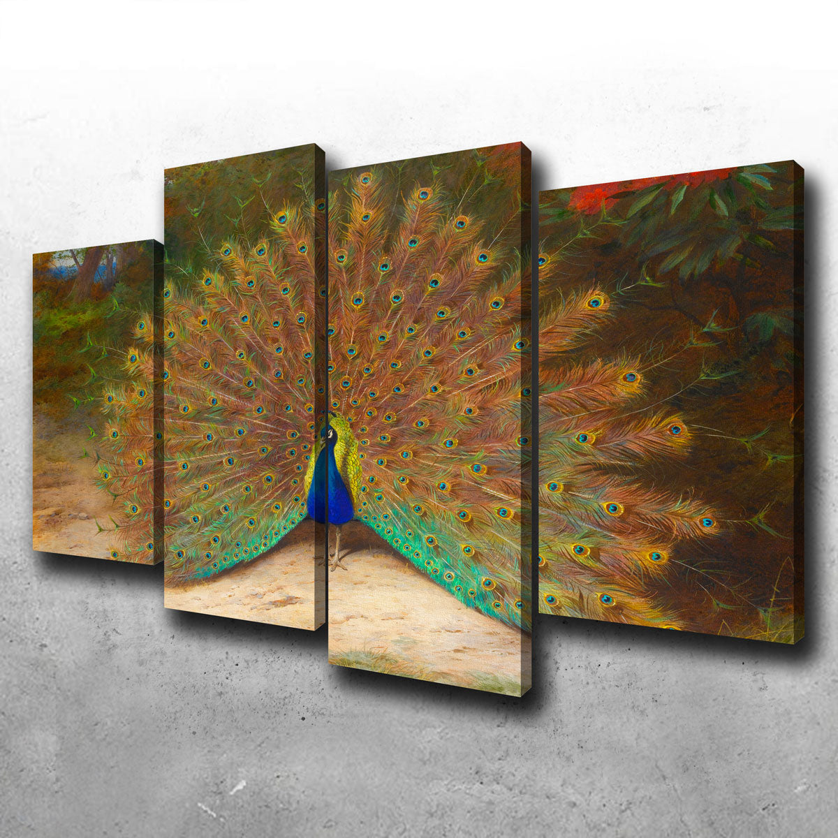Peacock and Peacock Butterly Wall Art