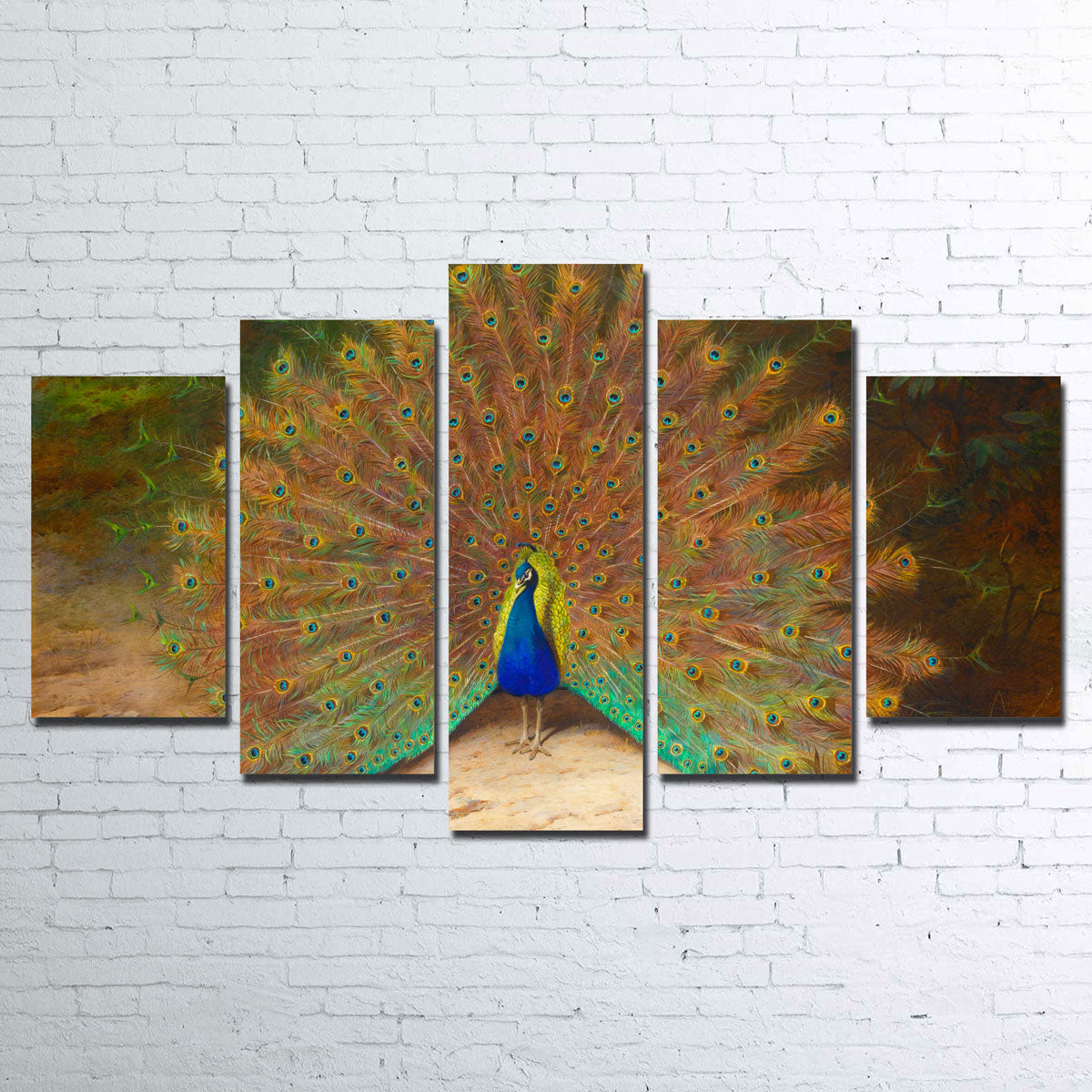 Peacock and Peacock Butterly Wall Art