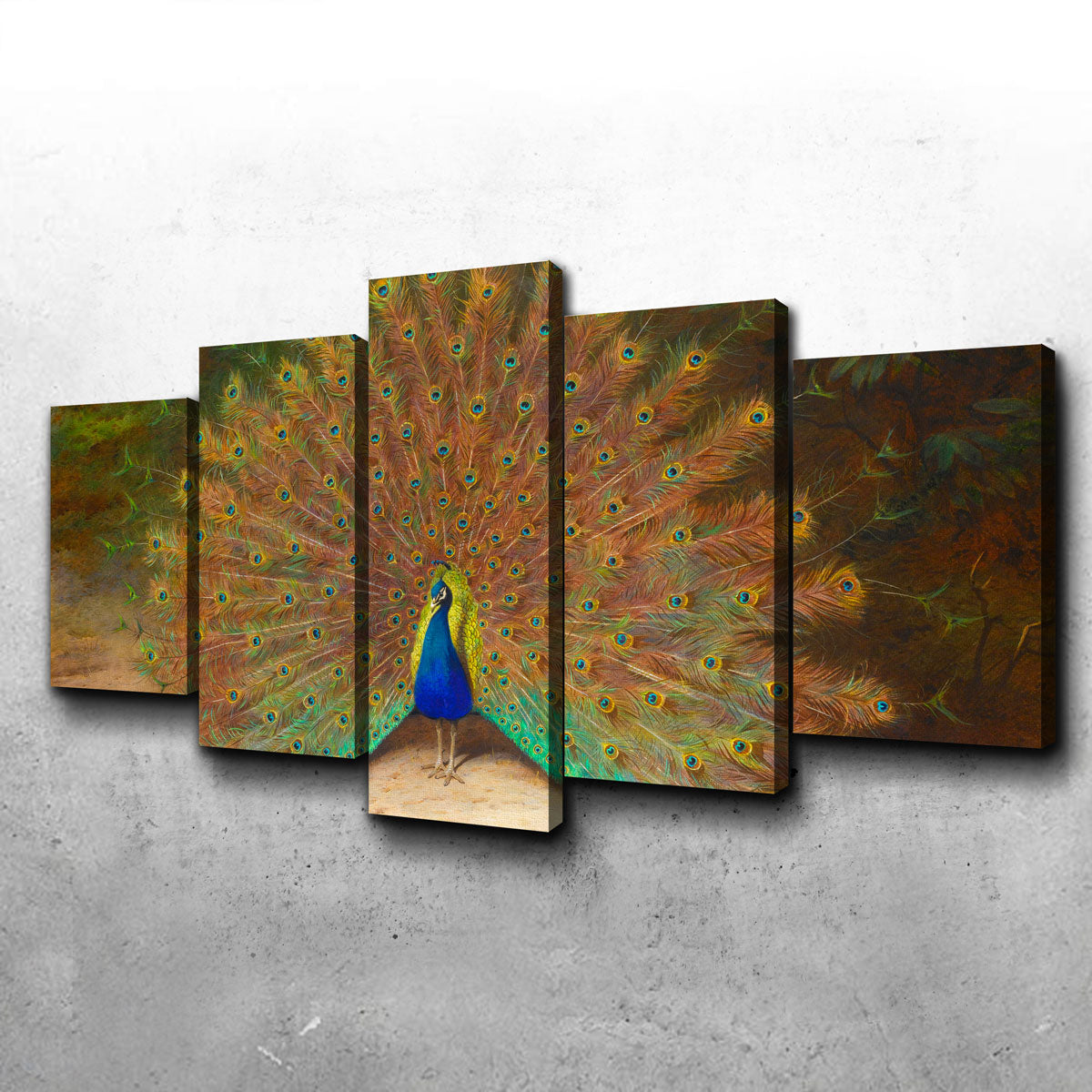 Peacock and Peacock Butterly Wall Art