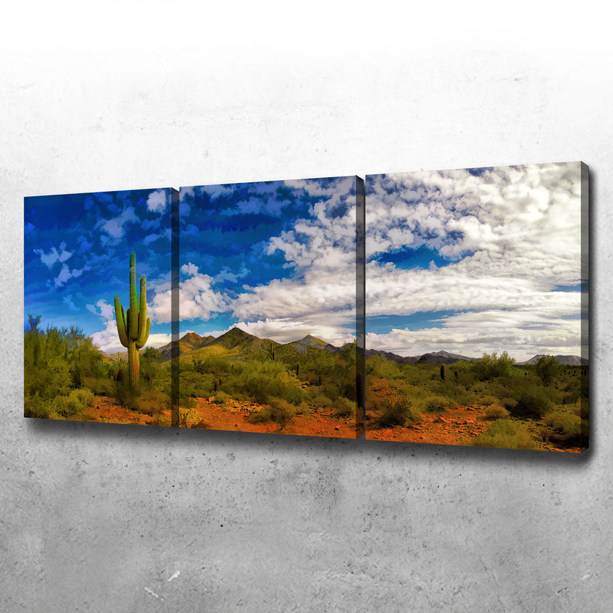 Arizona Desert Wall Art