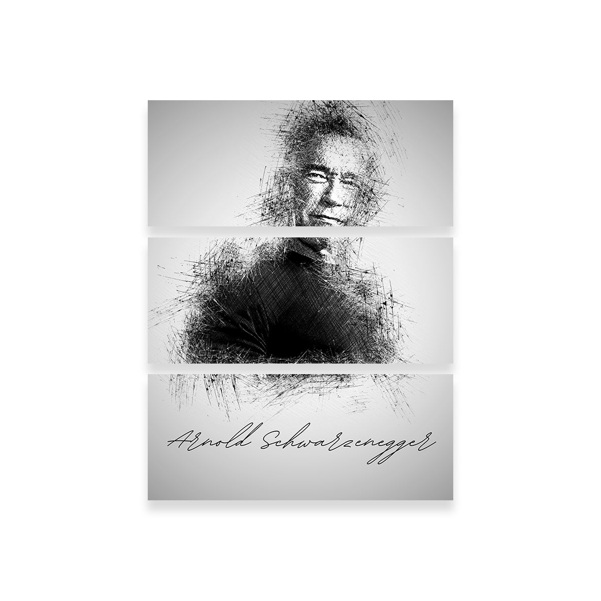 Arnold Schwarzenegger Wall Art