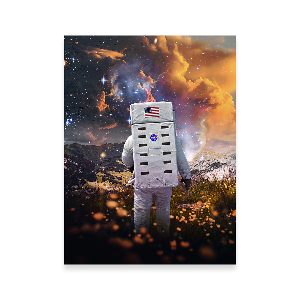 Astro Flower Canvas Art Wall Art