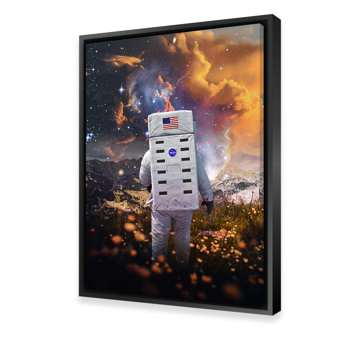 Astro Flower Canvas Art Wall Art