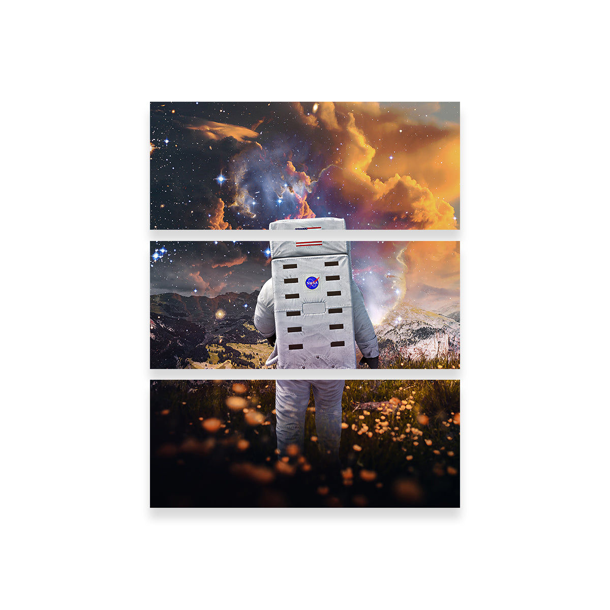 Astro Flower Canvas Art Wall Art