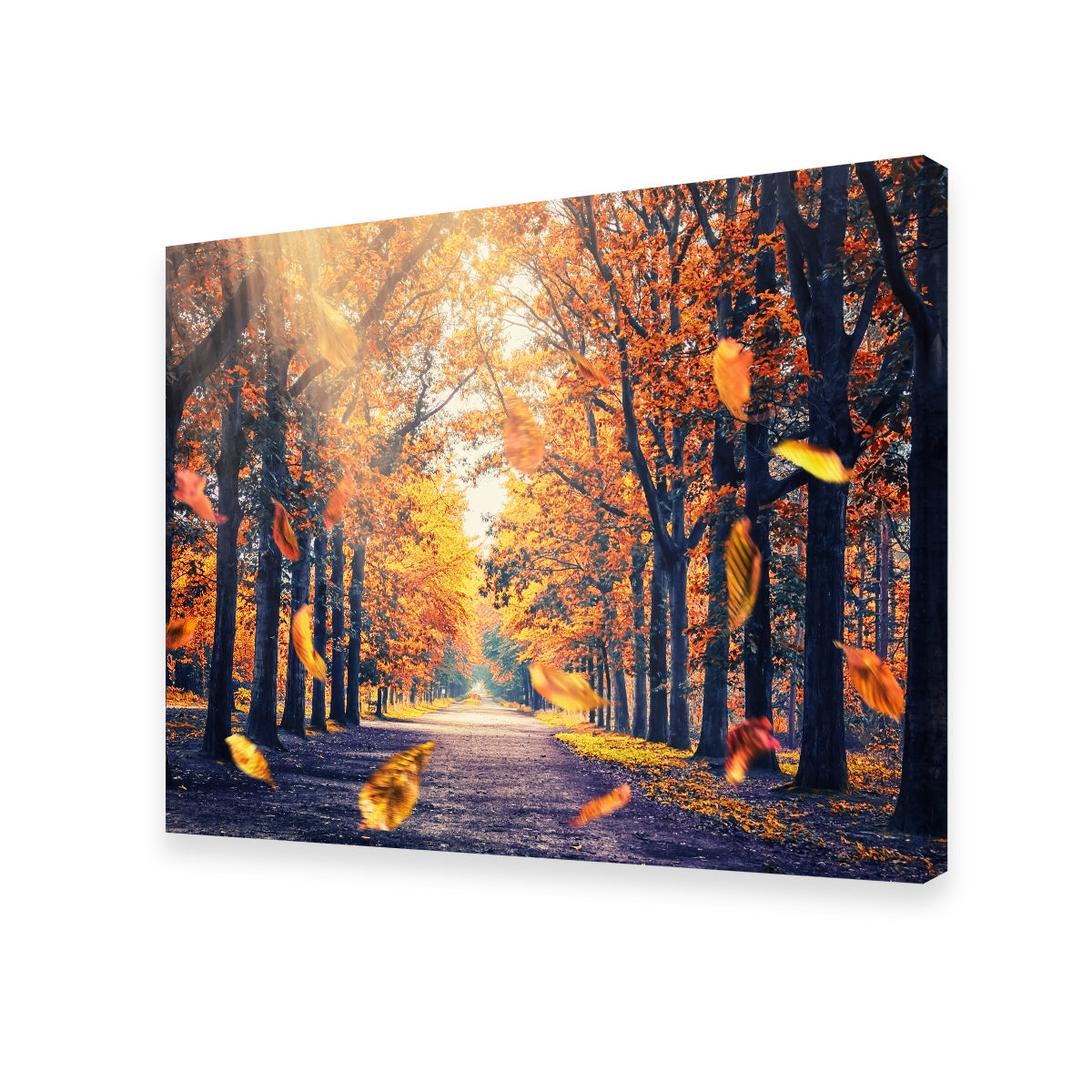 Autumn In Holland Wall Art
