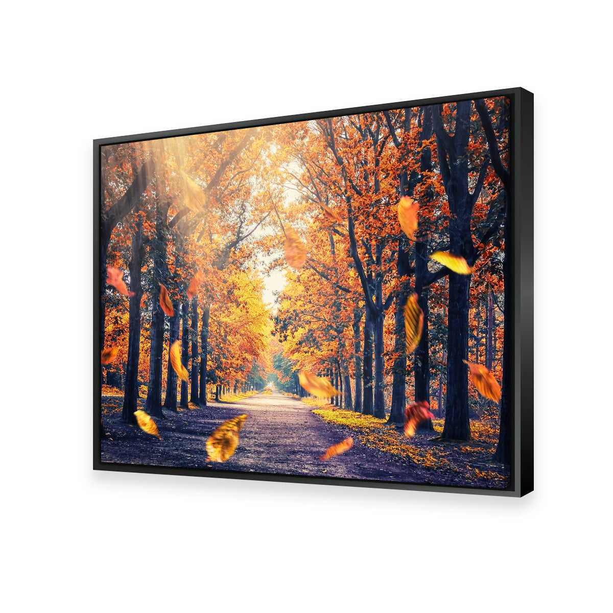Autumn In Holland Wall Art