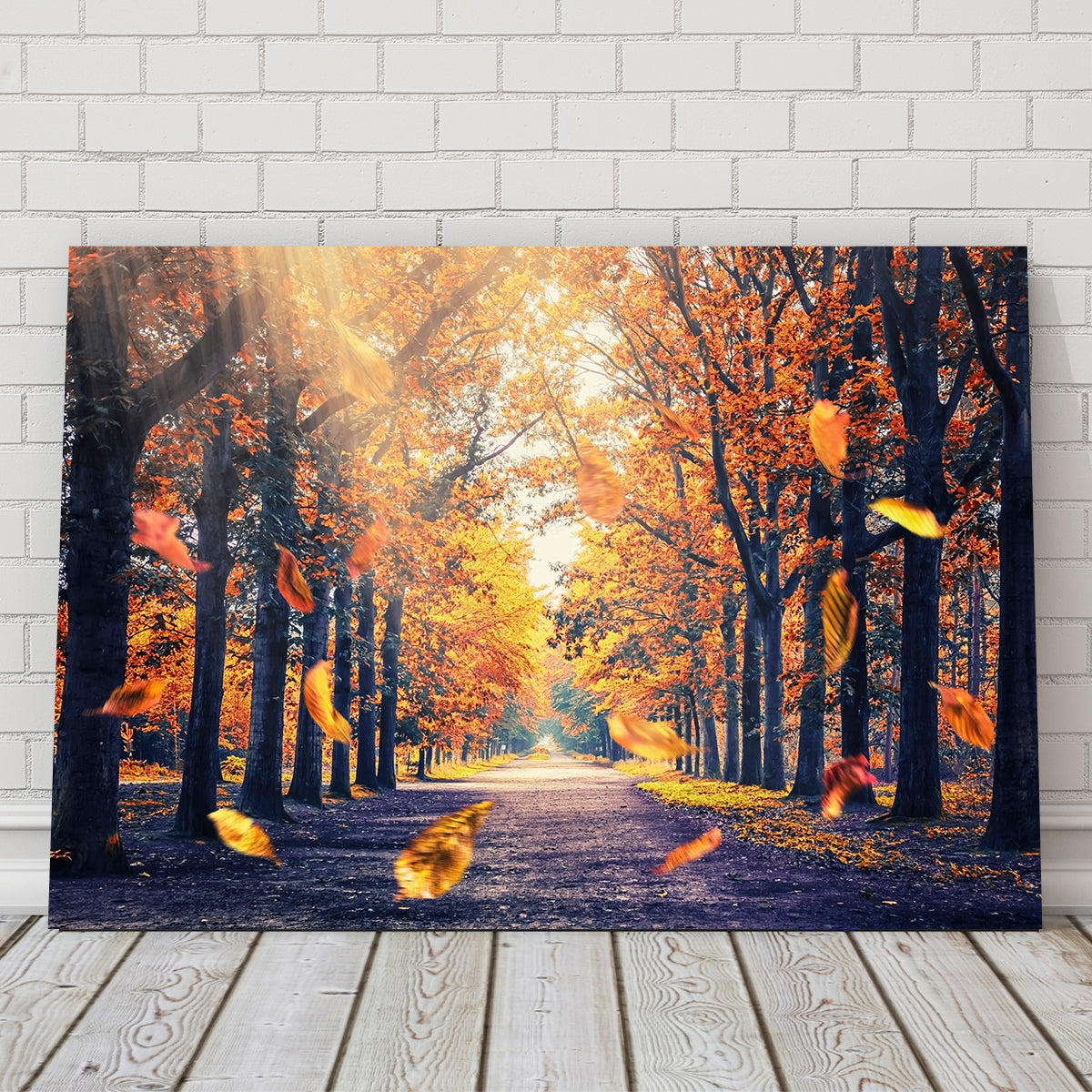 Autumn In Holland Wall Art
