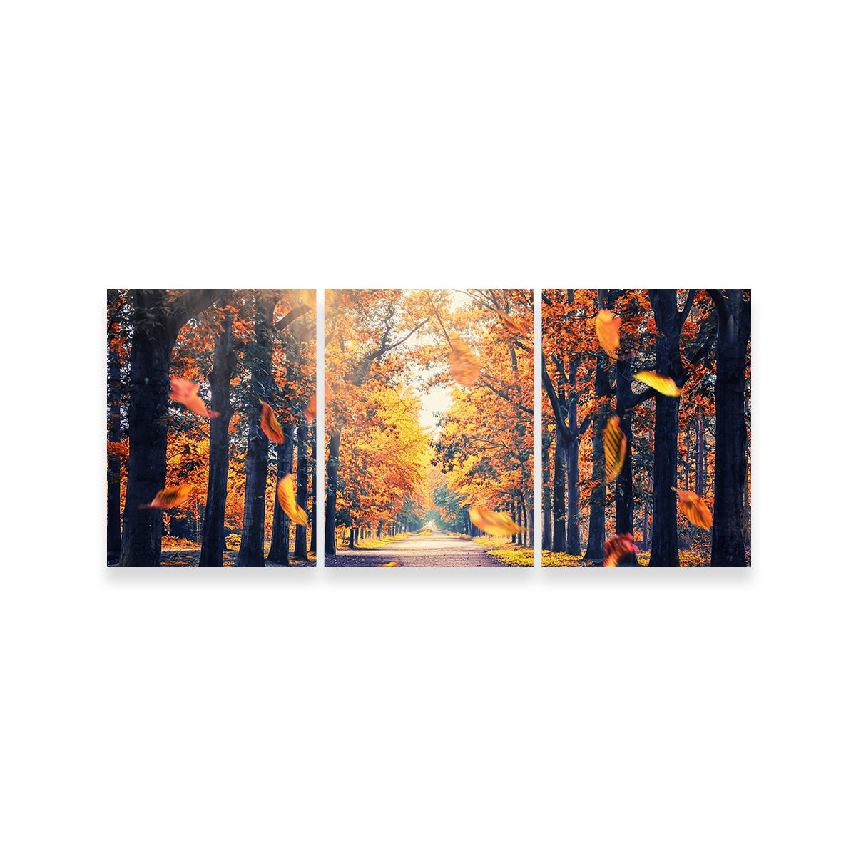 Autumn In Holland Wall Art