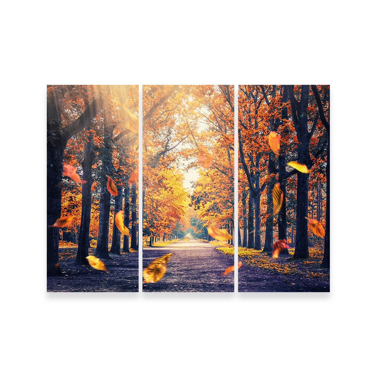 Autumn In Holland Wall Art