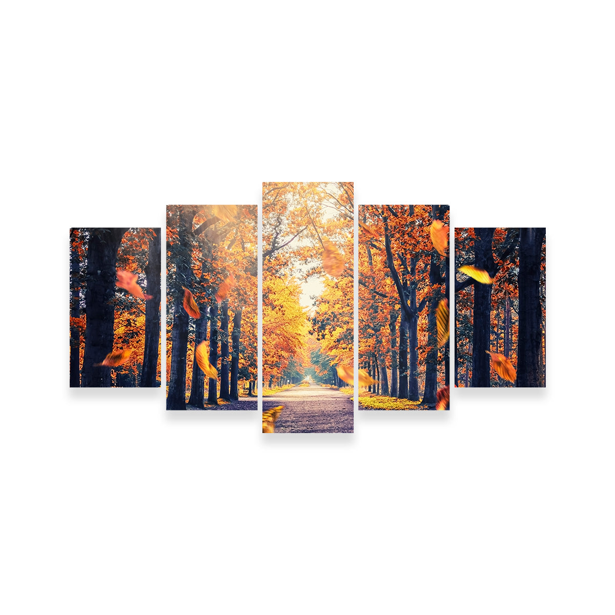 Autumn In Holland Wall Art