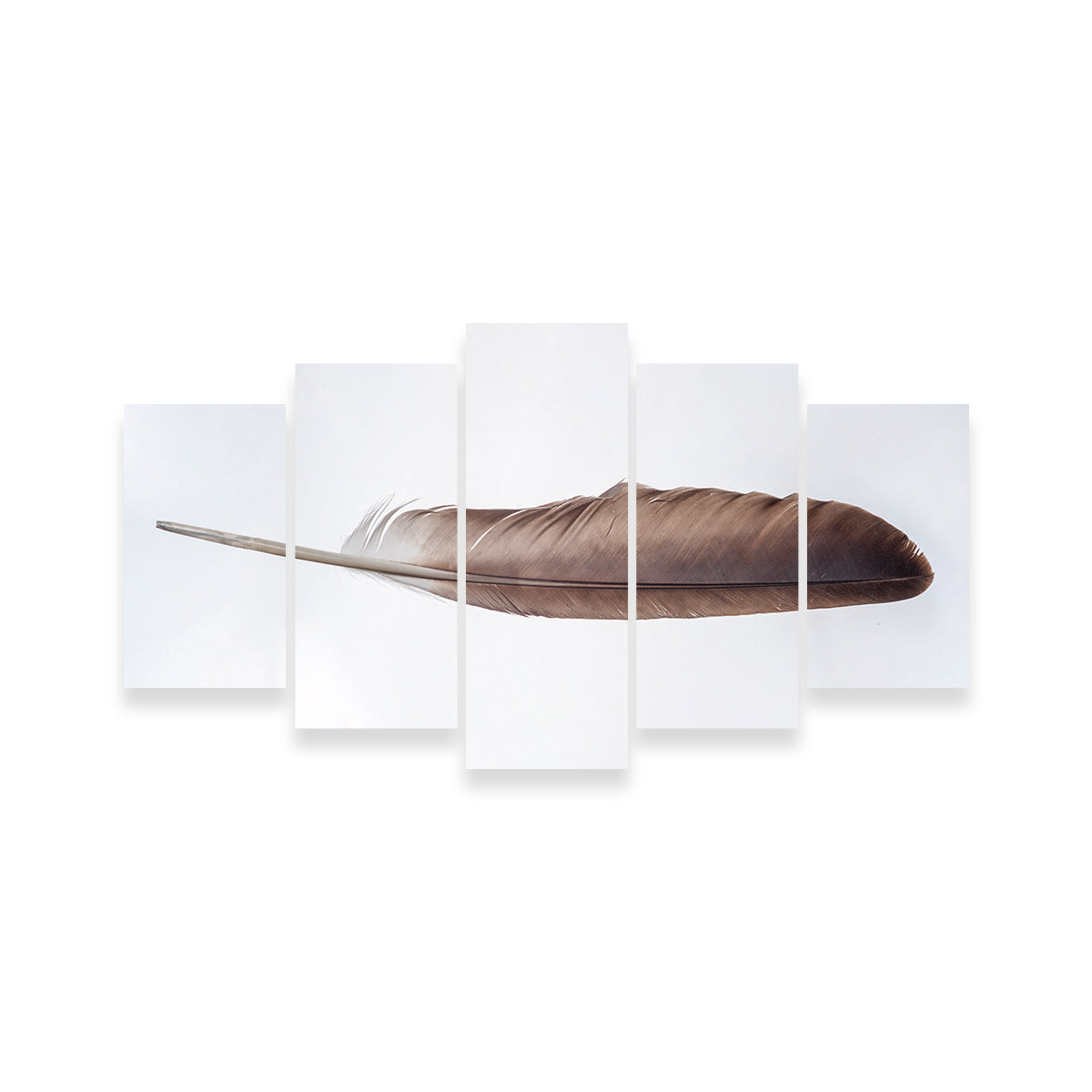 Bald Eagle Feather Wall Art