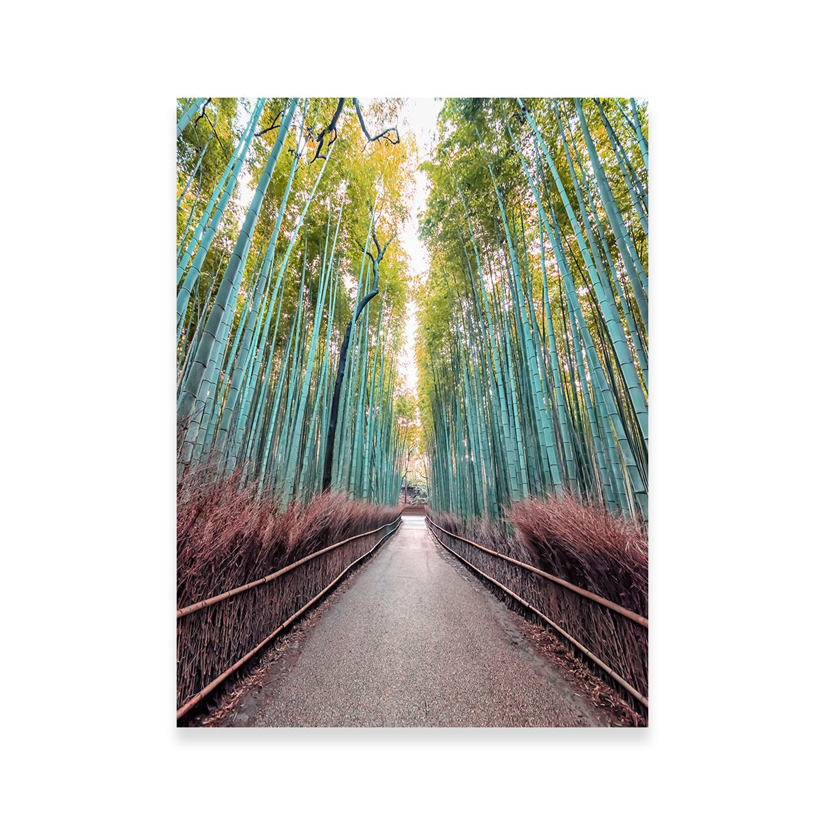 Bamboo Alley Wall Art