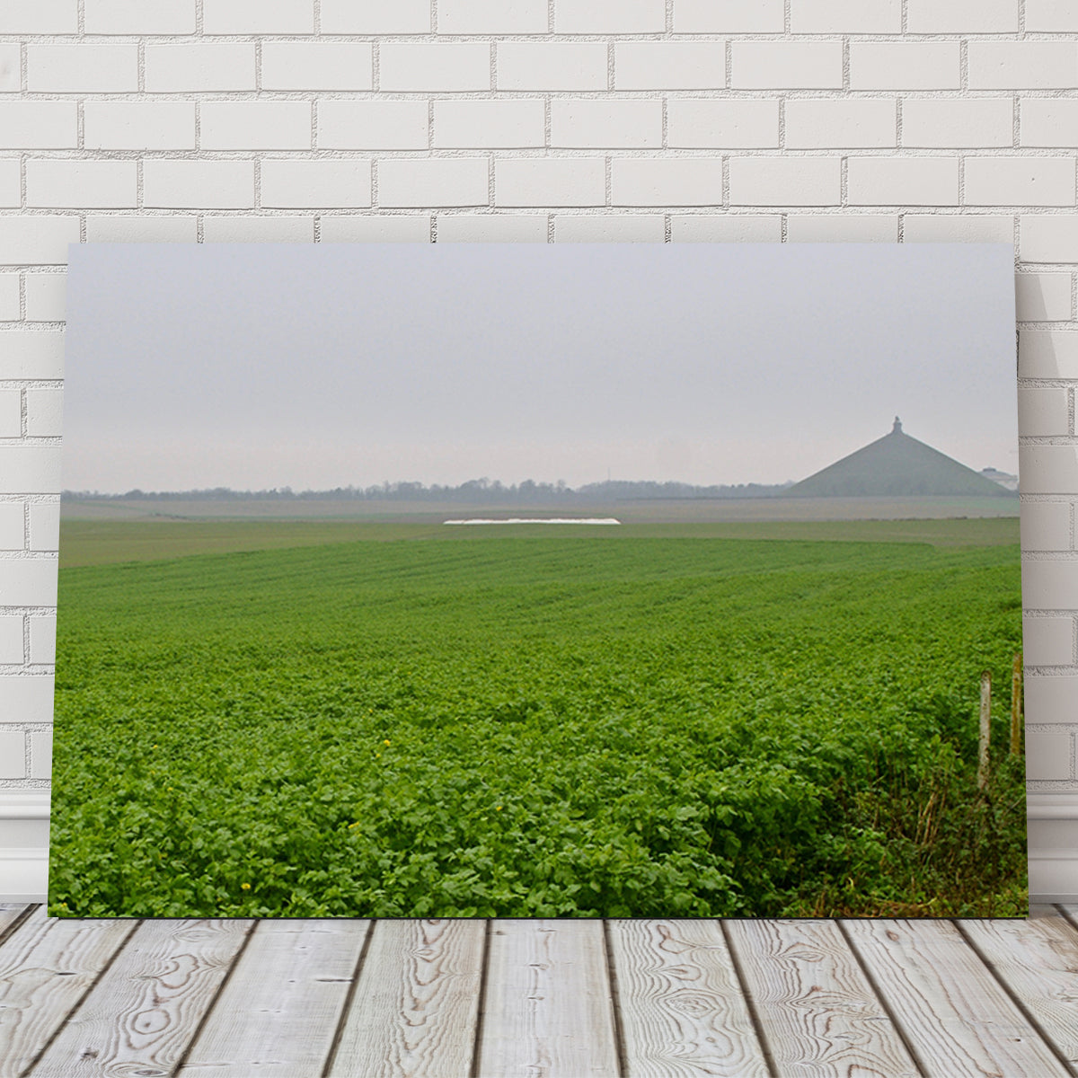 Battle of Waterloo Wall Art