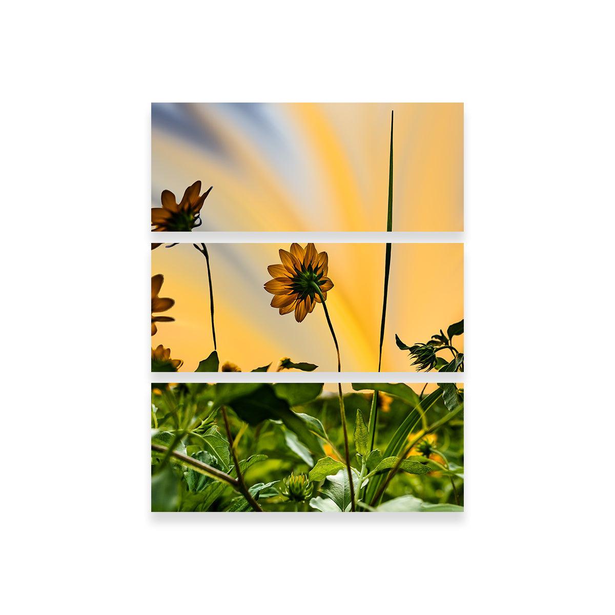 Beach Sunflowers Wall Art