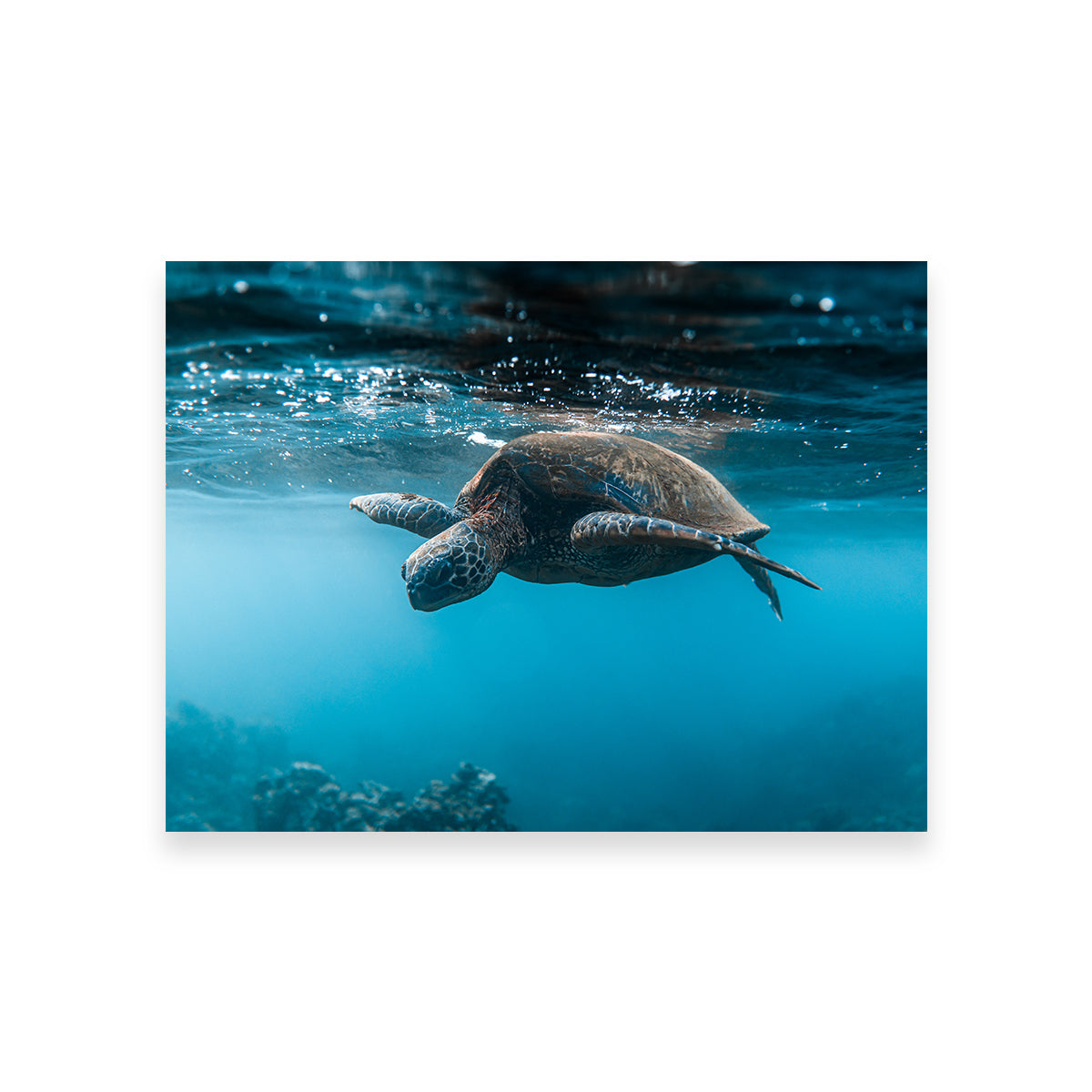 Below the Surface Wall Art