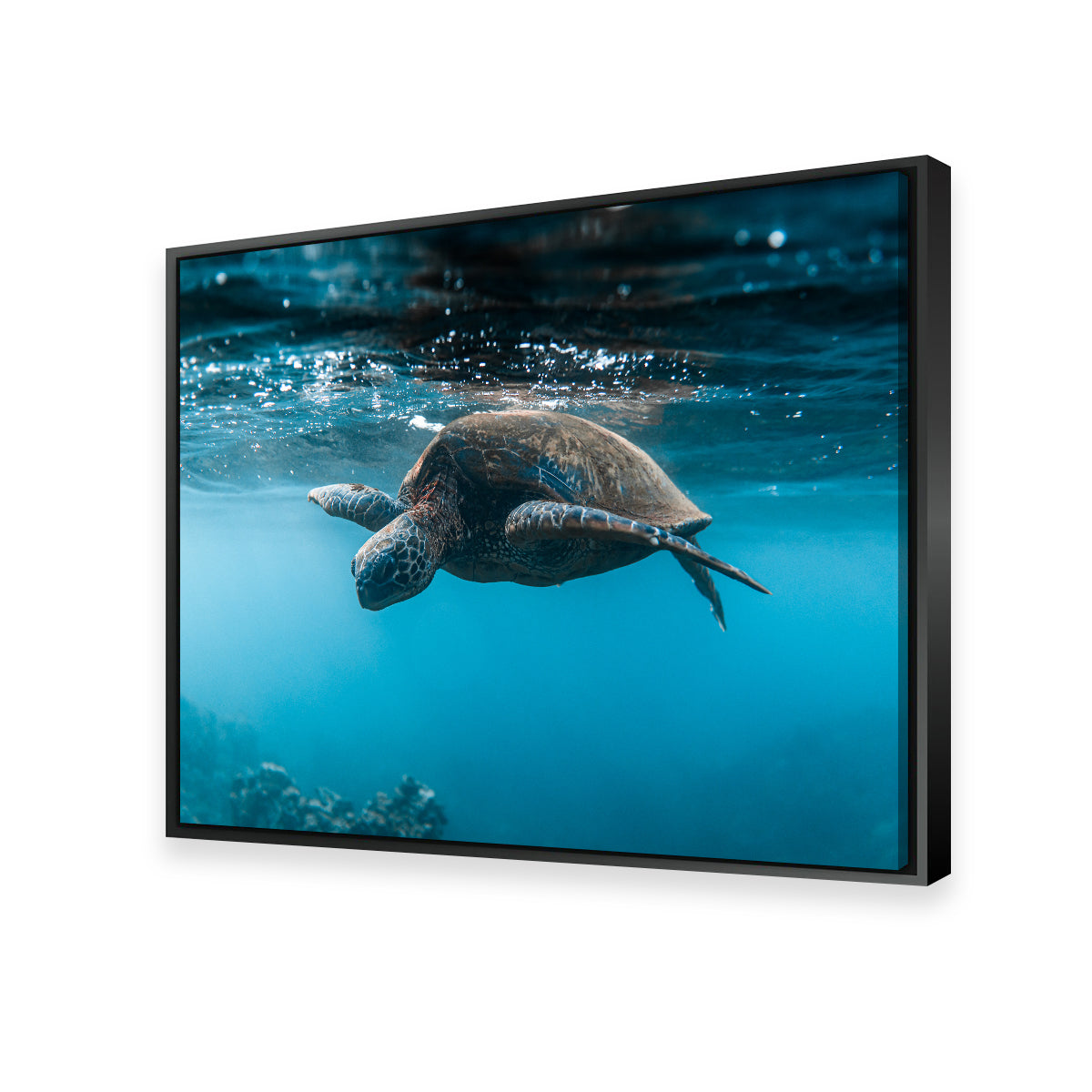 Below the Surface Wall Art