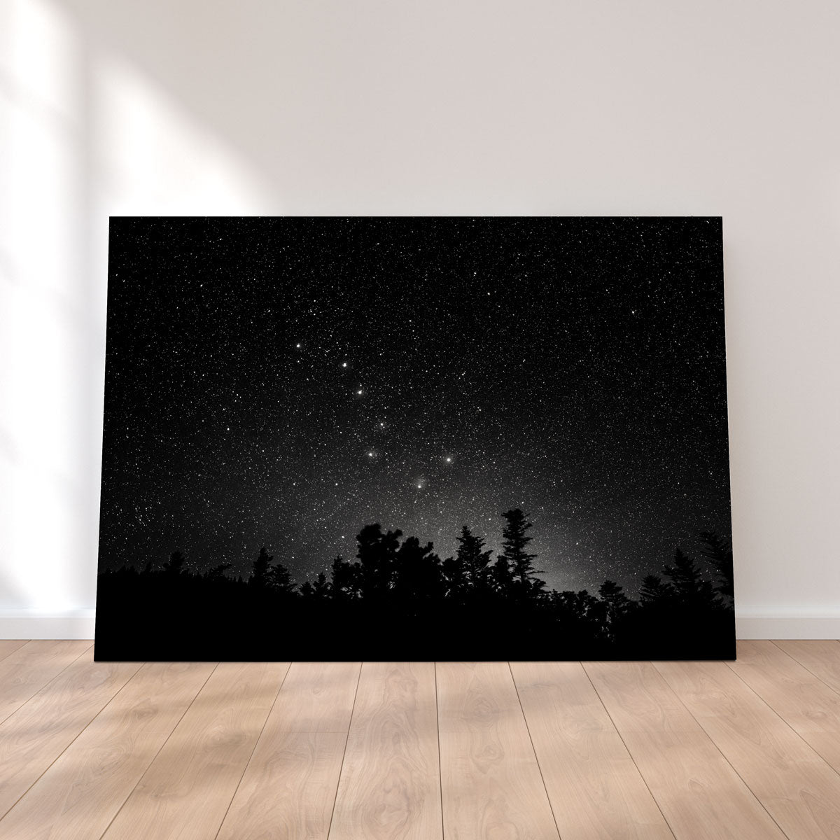 Big Dipper Starry Night