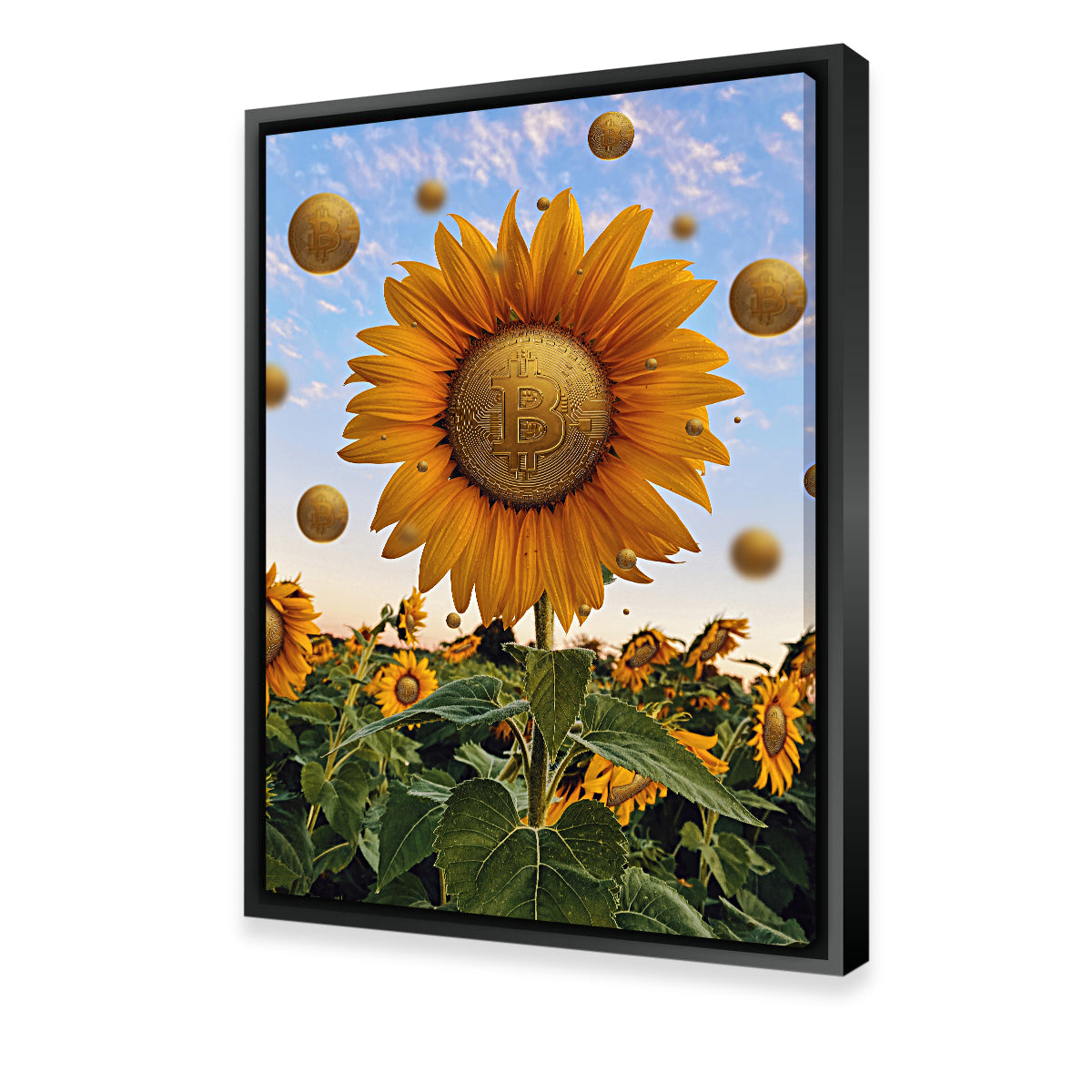 Bitcoin Flower Wall Art
